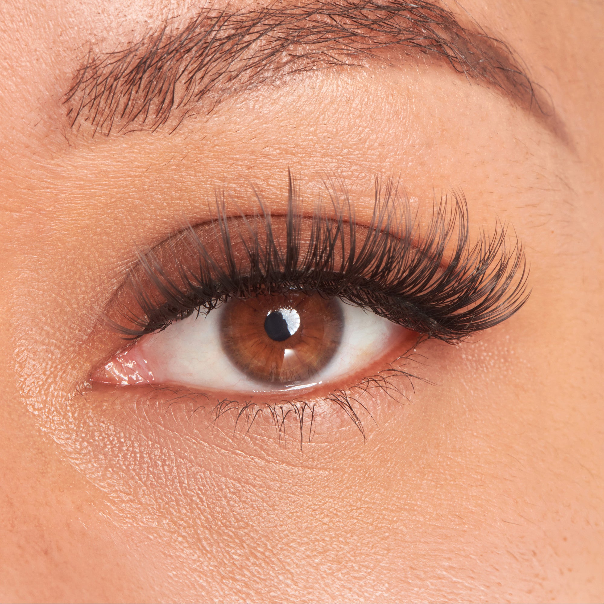 The image features a close-up of a human eye, showcasing a rich brown iris and a prominent pupil. The eyelashes are long and voluminous, enhancing the eye&