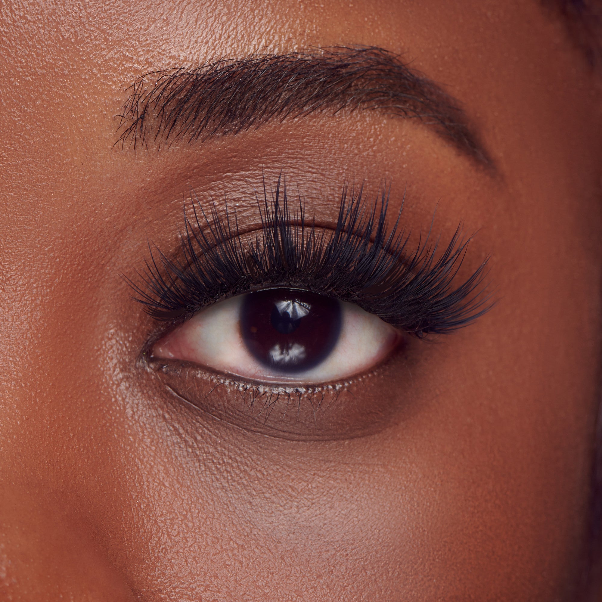 The image features a close-up of a human eye, showcasing a rich, dark iris and long, dramatic eyelashes. The skin around the eye is smooth and has a warm tone, highlighting the eye&