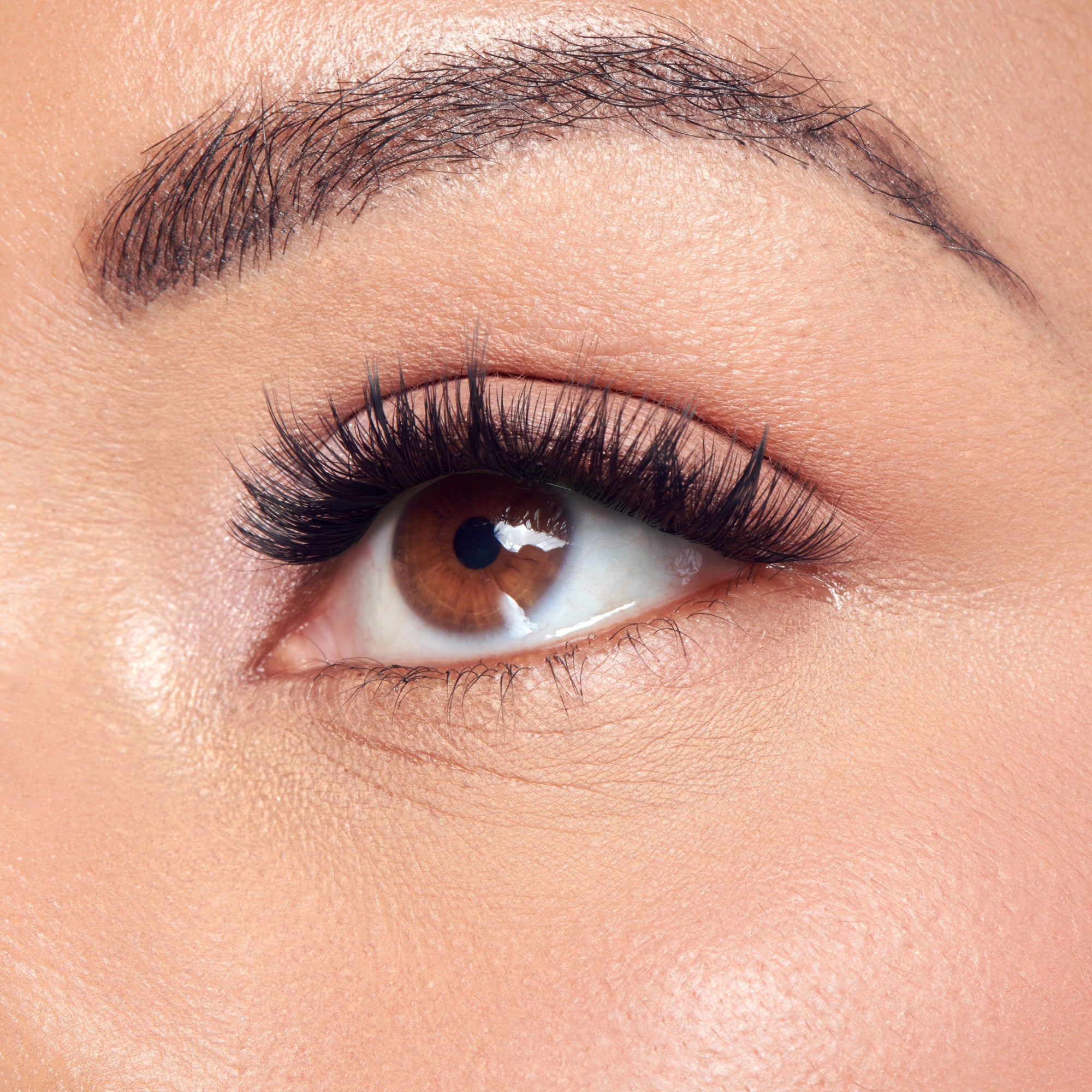 KISS Peony False Eyelashes, Lash Extension Kit, 180 Lash Clusters - Moonlit Bloom