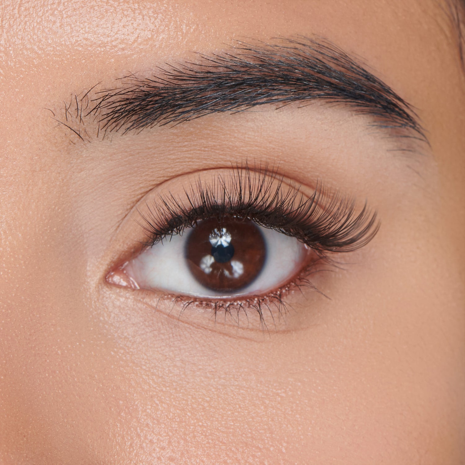 KISS Peony False Eyelashes, Lash Extension Kit, 120 Lash Clusters - Midnight Muse