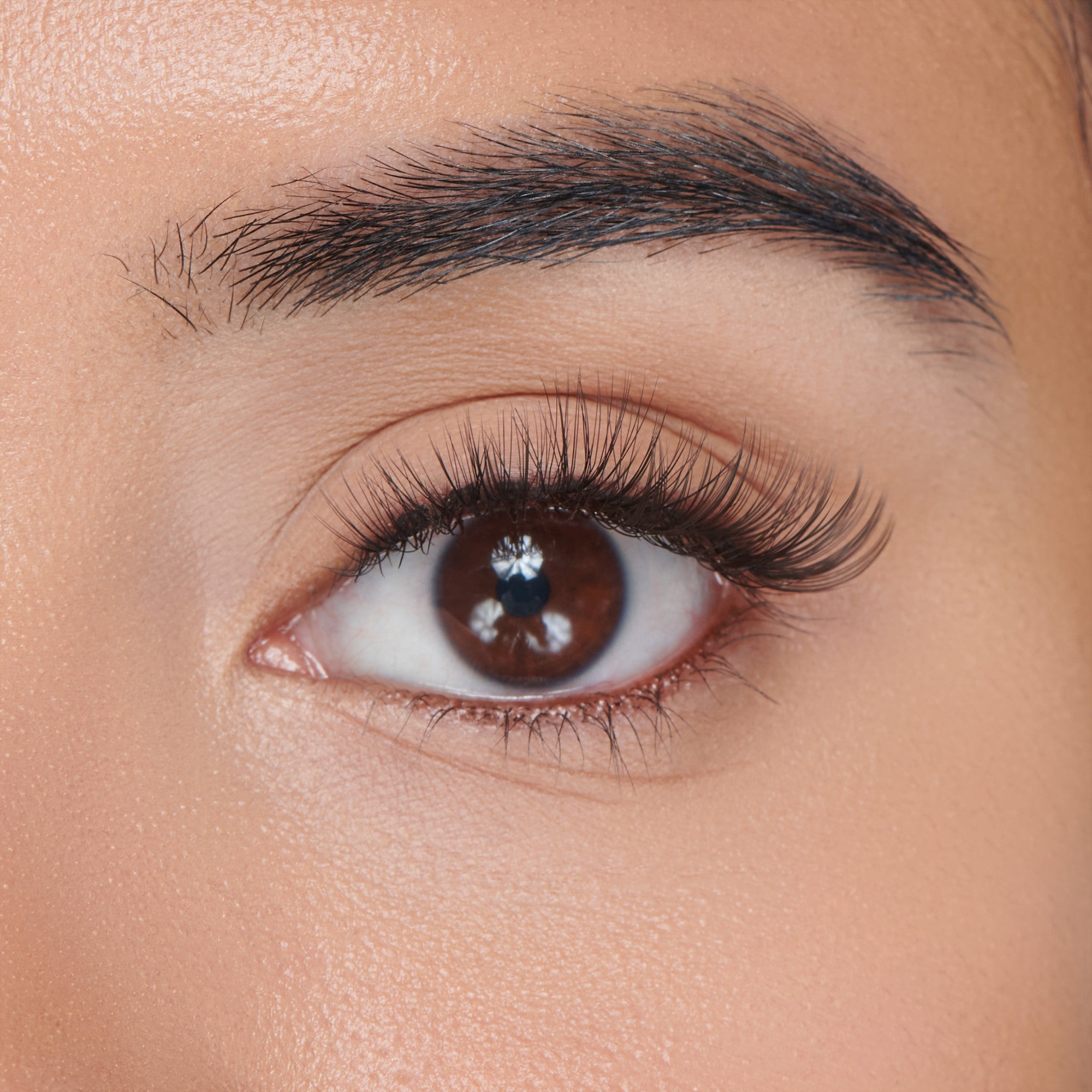 The image features a close-up of a human eye, showcasing a rich brown iris and long, defined eyelashes. The skin around the eye appears smooth and well-groomed, with a natural complexion. The eyebrow is neatly shaped, complementing the eye&