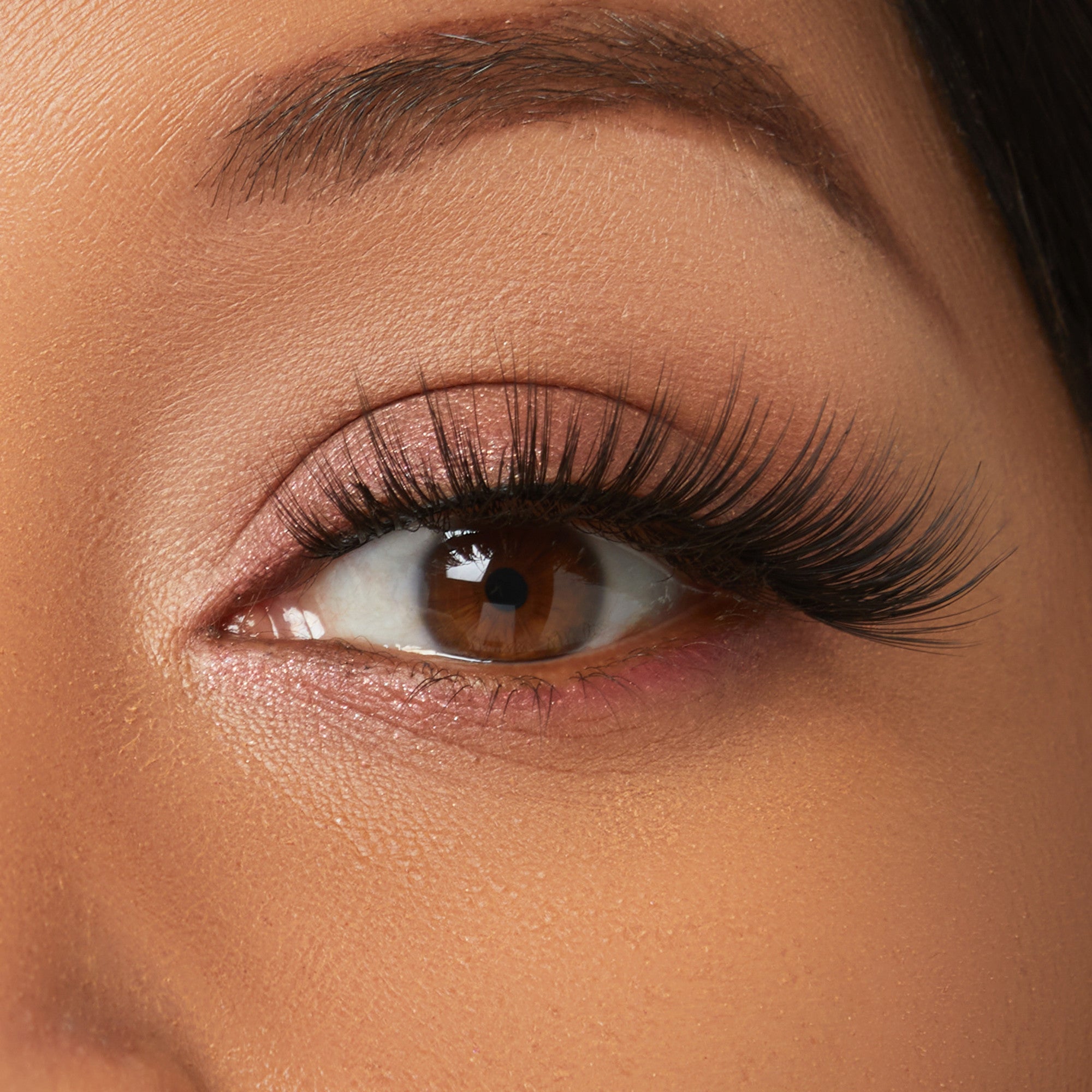 Close-up of brown eye with full black lashes and neutral eyeshadow makeup.
