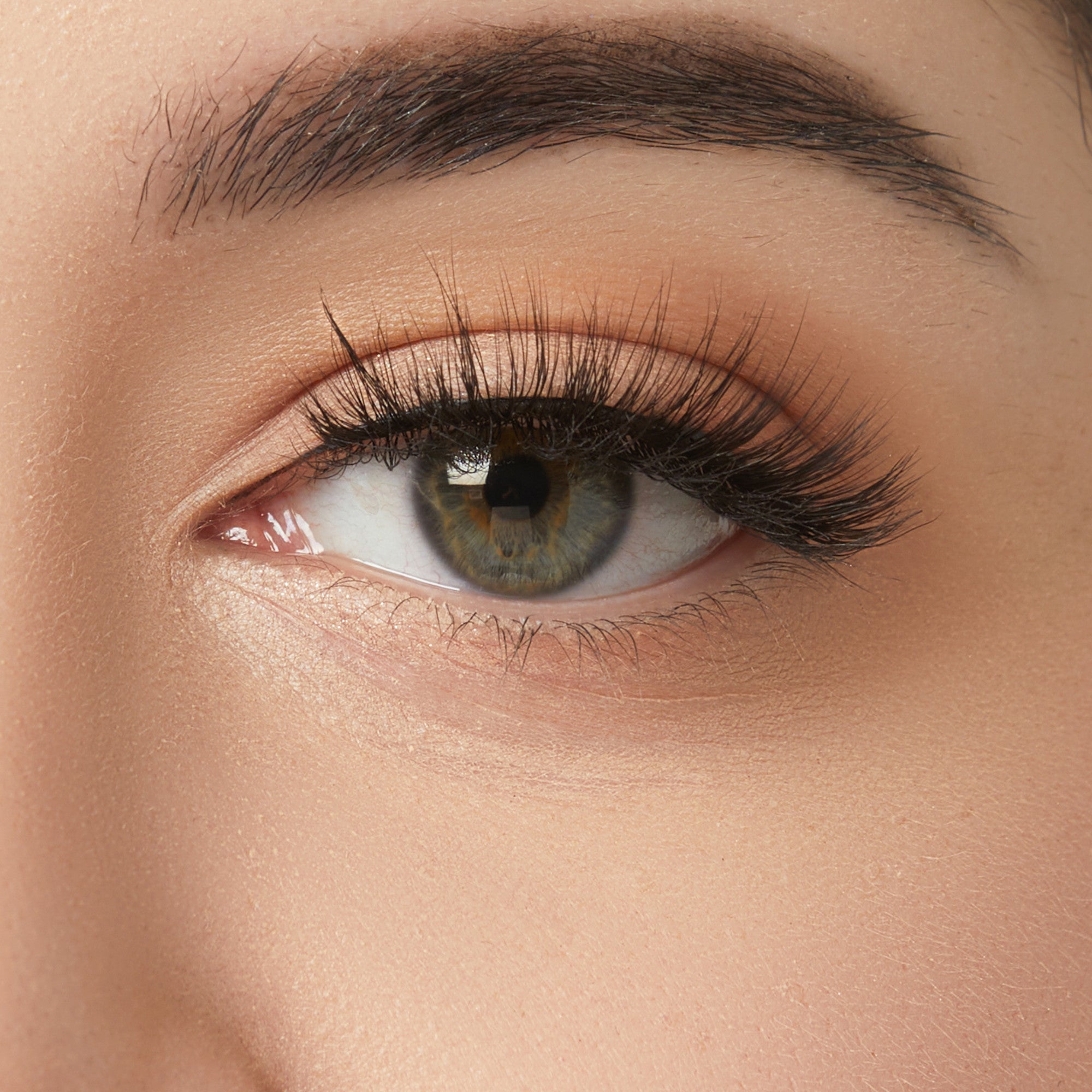 Close-up of eye with warm eyeshadow, black eyeliner, and volumized lashes
