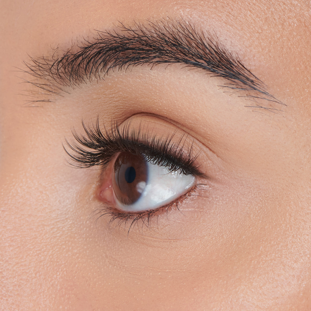 Falscara Faux Mink Wispy Mega Multipack | DIY False Lash Extensions, Cluster Lash, Wispy Lashes, 70 Wisps, 8mm-16mm