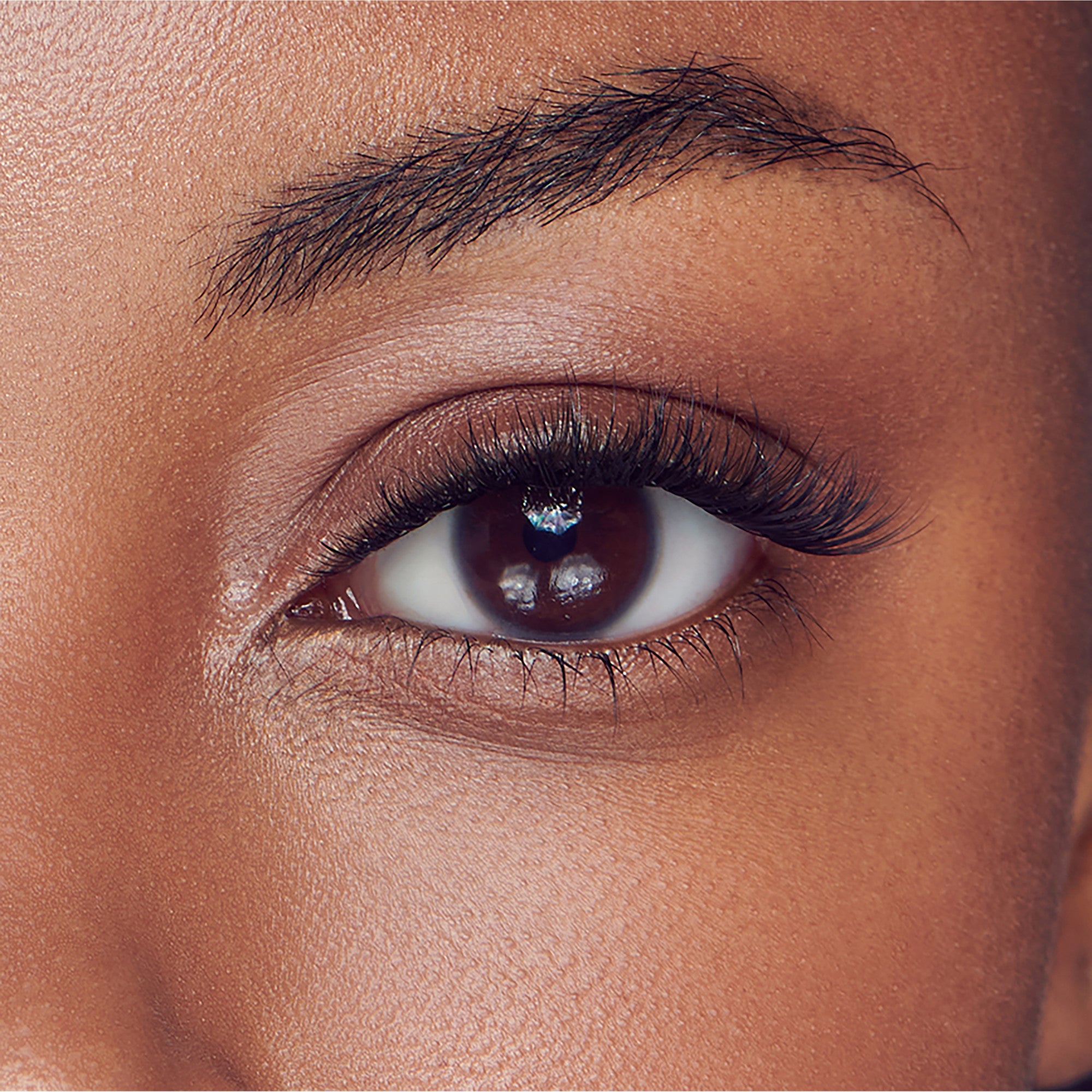 FALSCARA Wisps Multipack – 30 Petite Volume Wisps