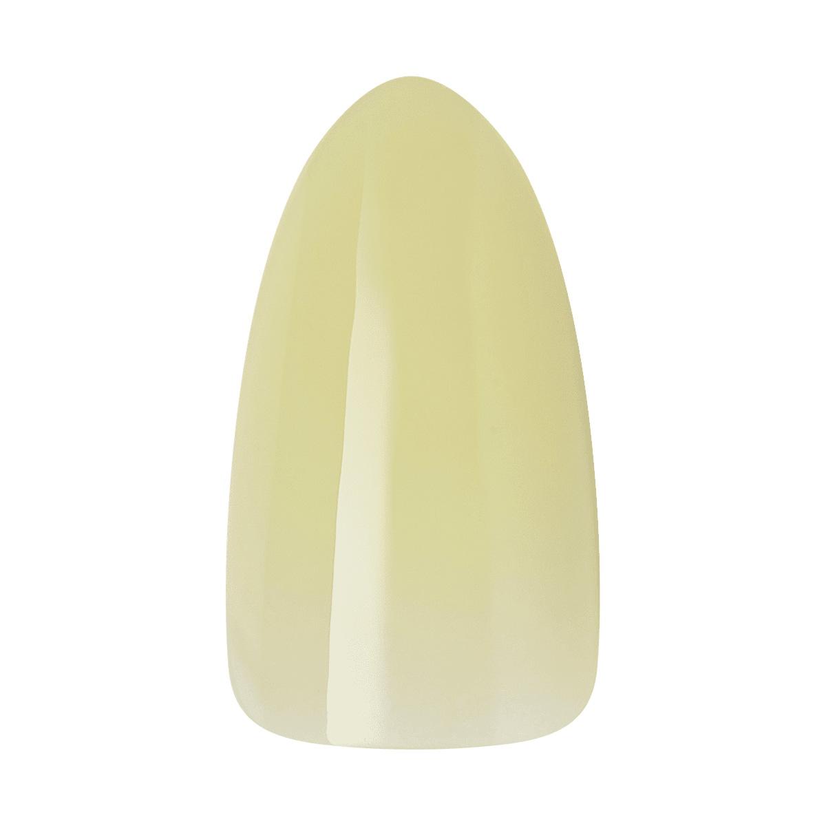 KISS Gel Fantasy Jelly Color Nails - Rainbow Jelly