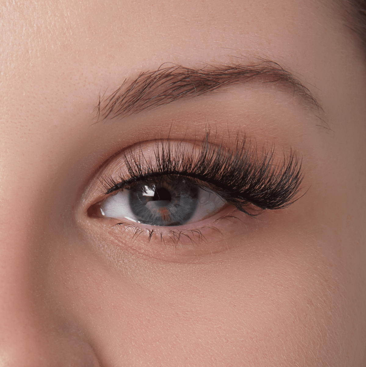 Marilyn Monroe x KISS Limited Edition Lashes - The Woman on a Mission