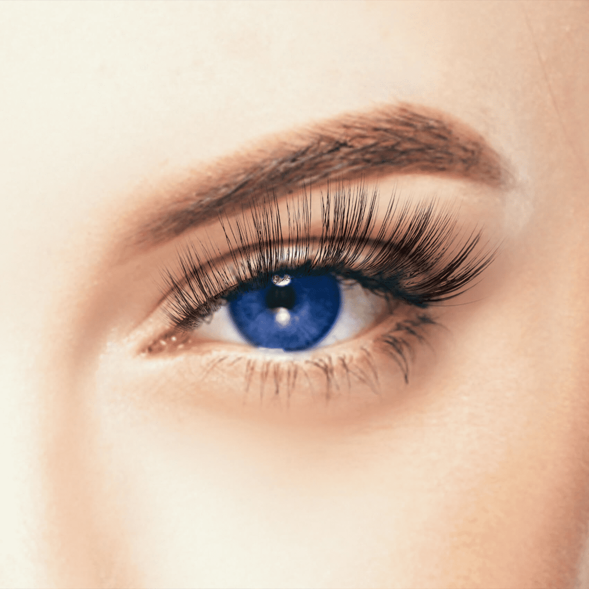 KISS Halloween False Eyelashes - Sabrina (Spiky, Fanned)