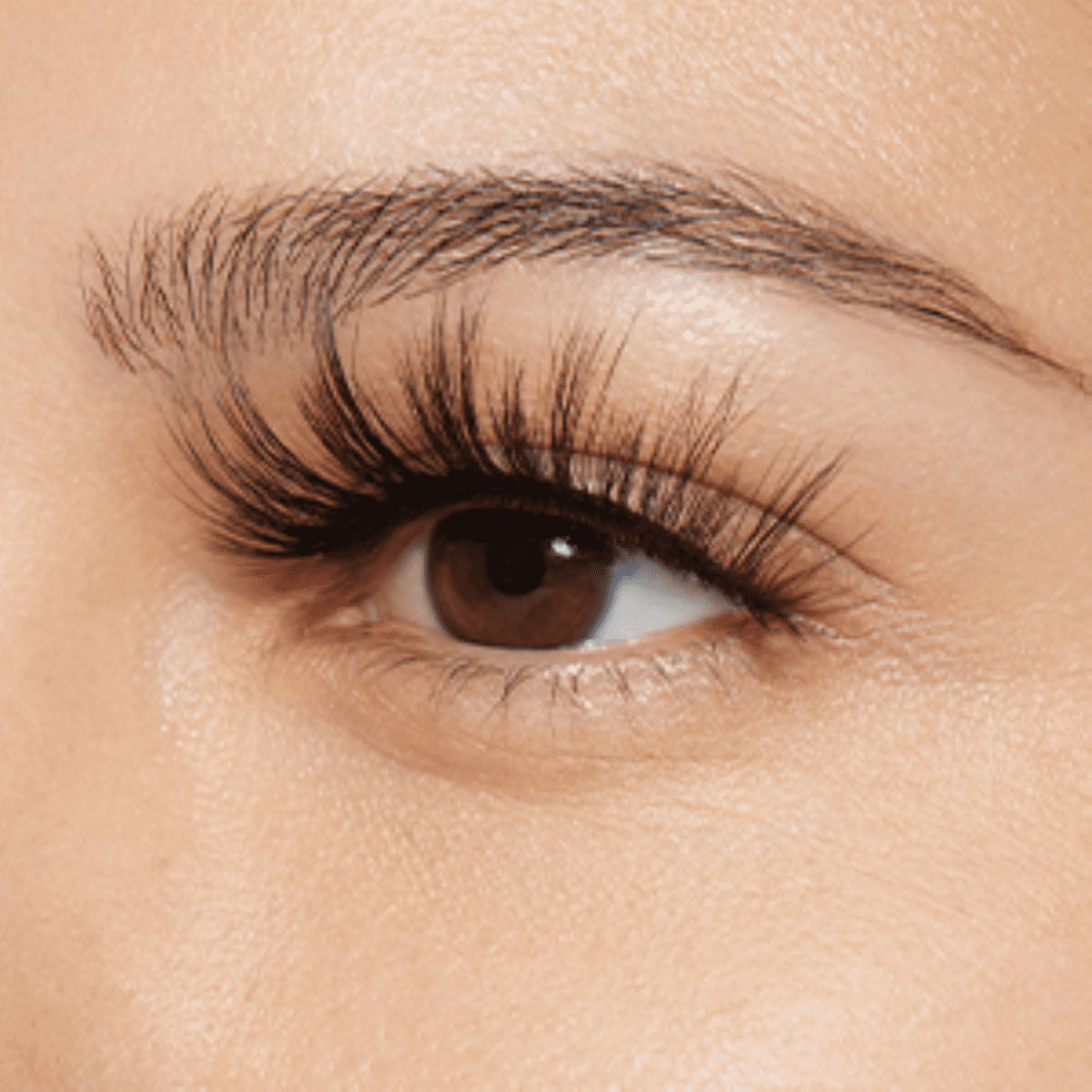 Lash Couture LuXtensions Multipack – Sassy Hybrid