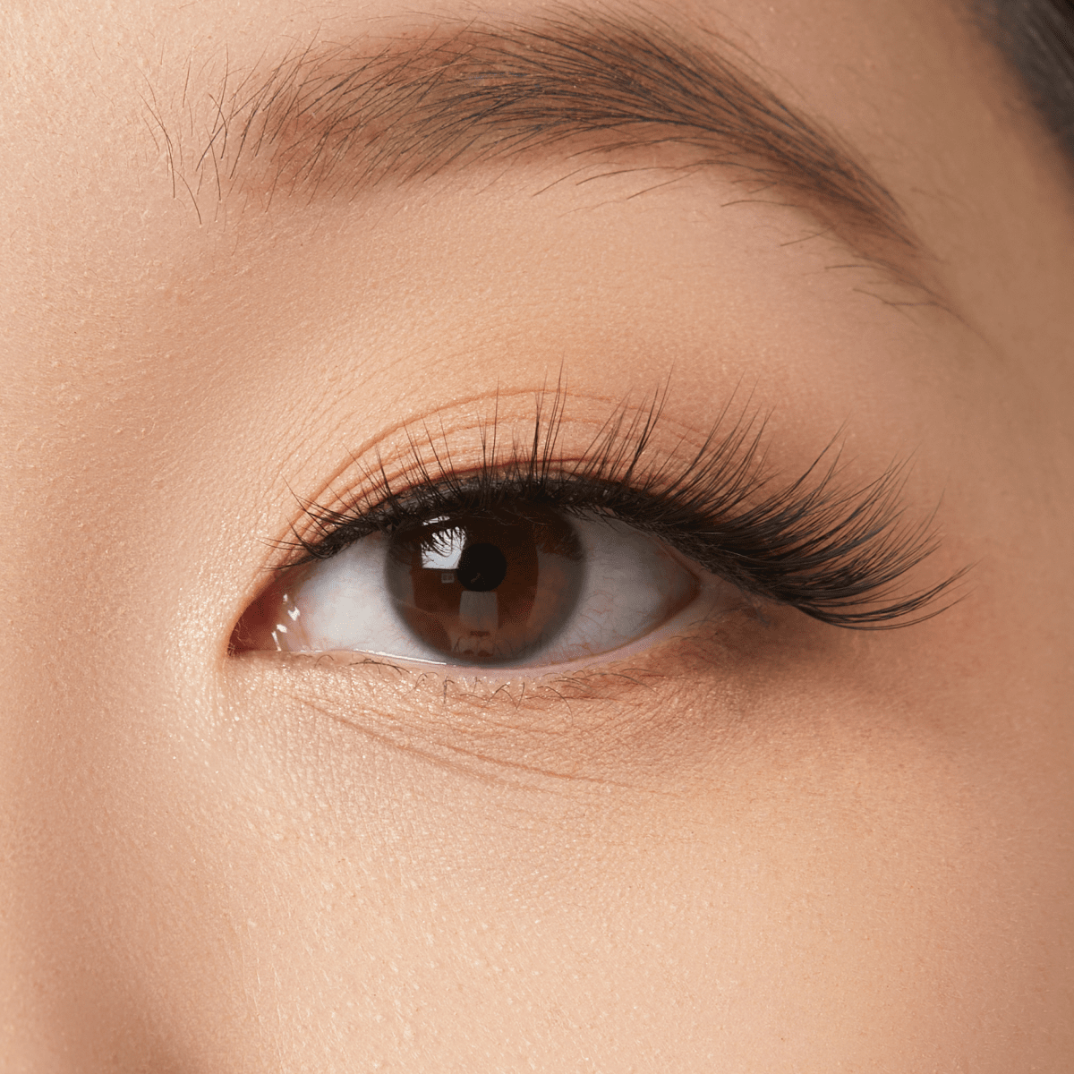 KISS Halloween Lash - Fascinated