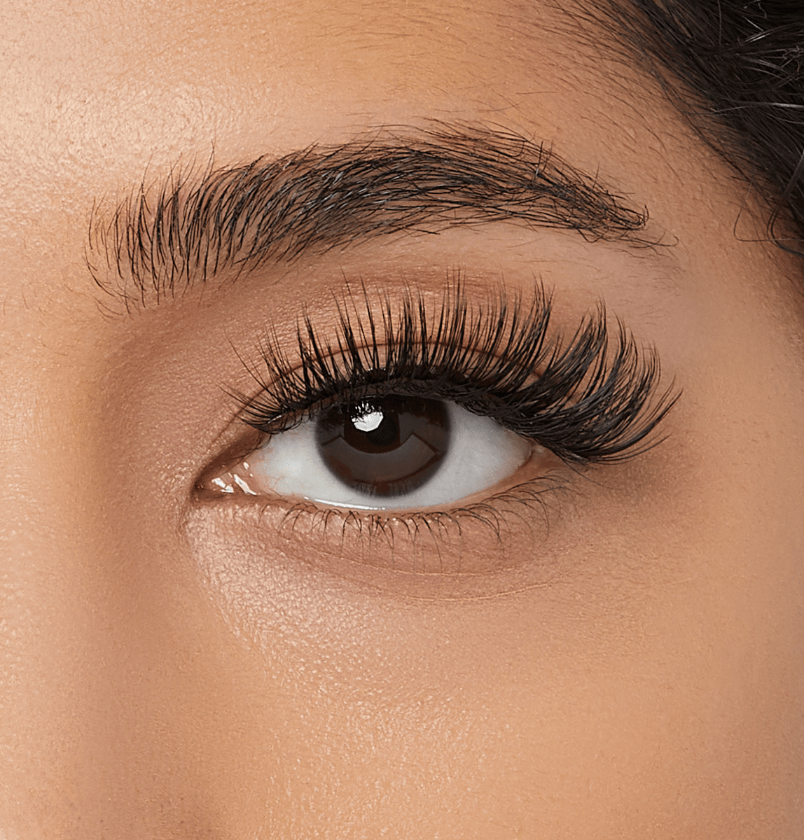Lash Couture LuXtensions Holiday Multipack – Black