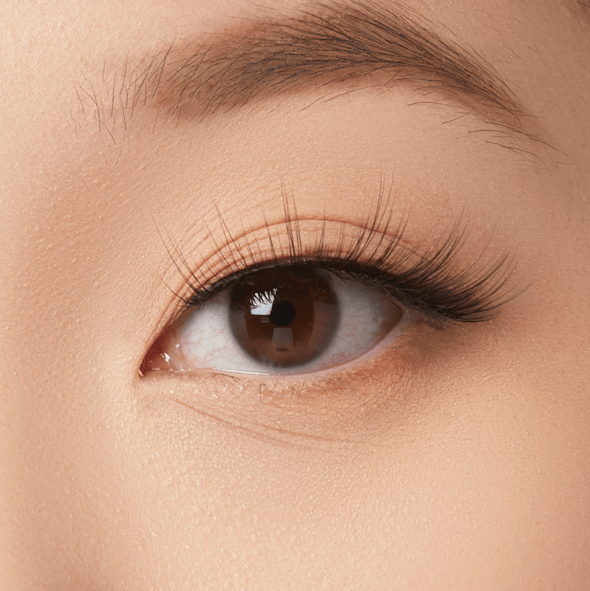 KISS Halloween Lash - Dark fairy
