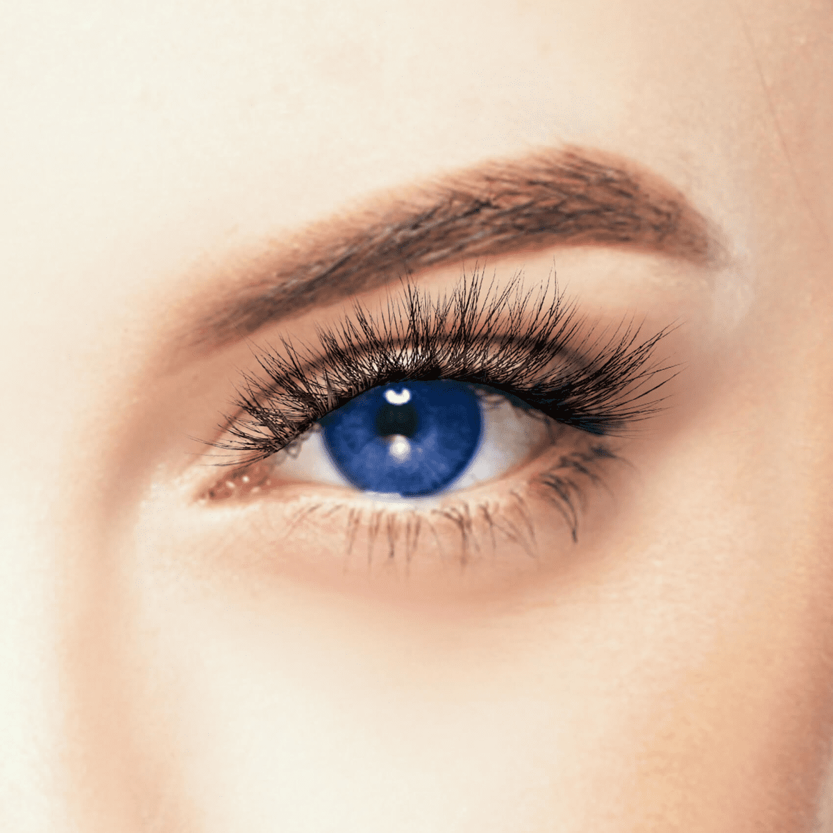 KISS Halloween False Eyelashes - Phoebe (Full-On Flare)