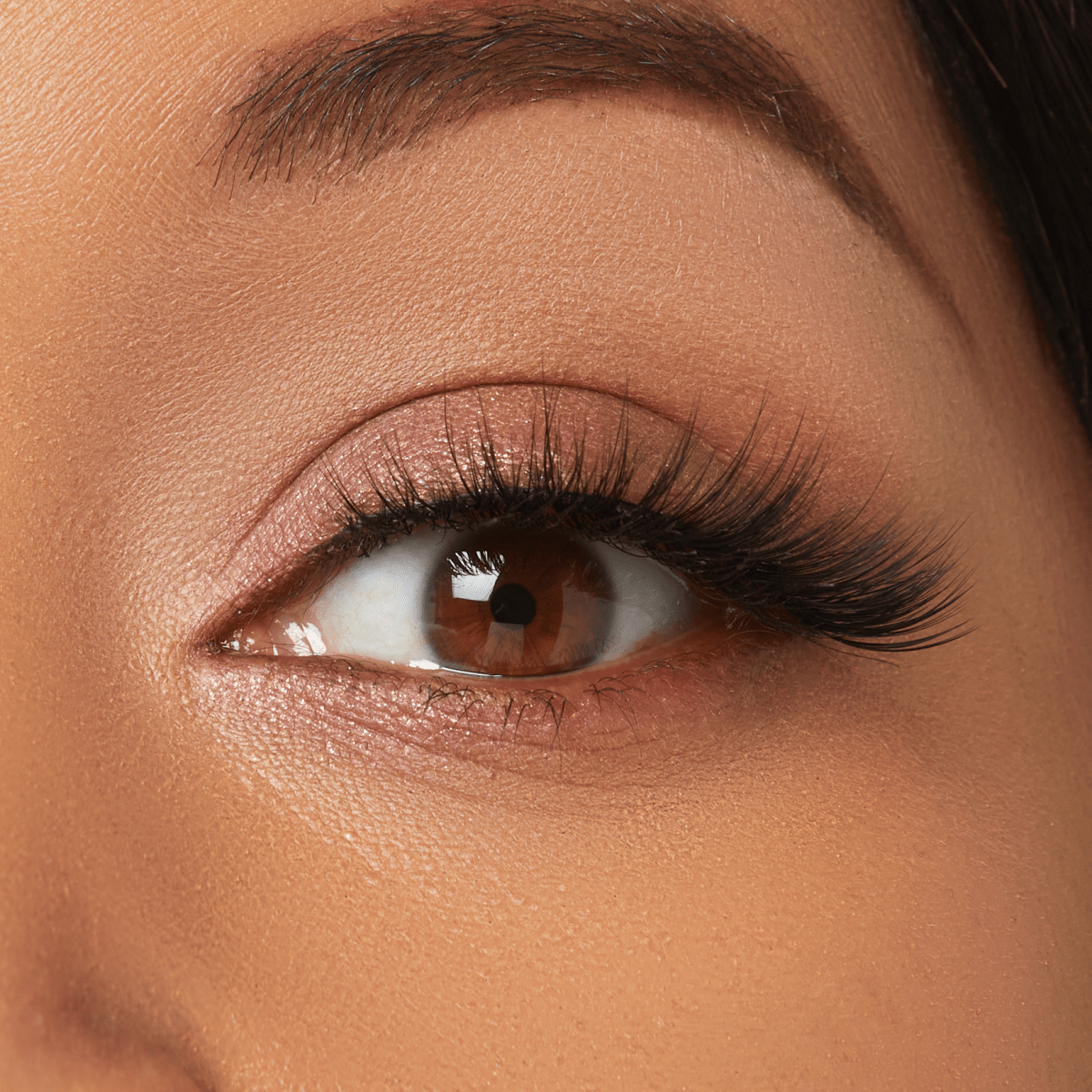 KISS Halloween Lash - Mysterious