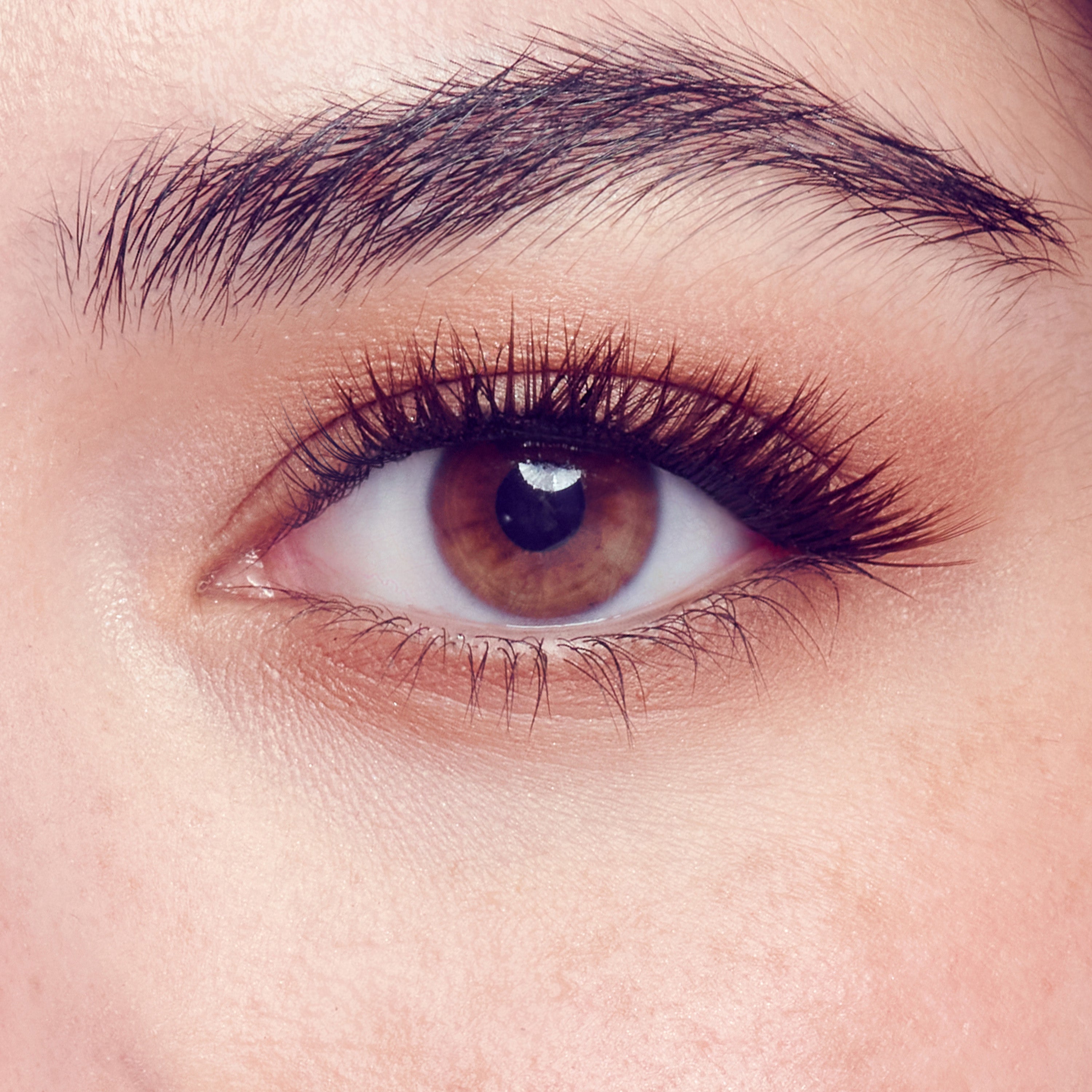 Close-up of a brown eye with long eyelashes and well-groomed eyebrow.