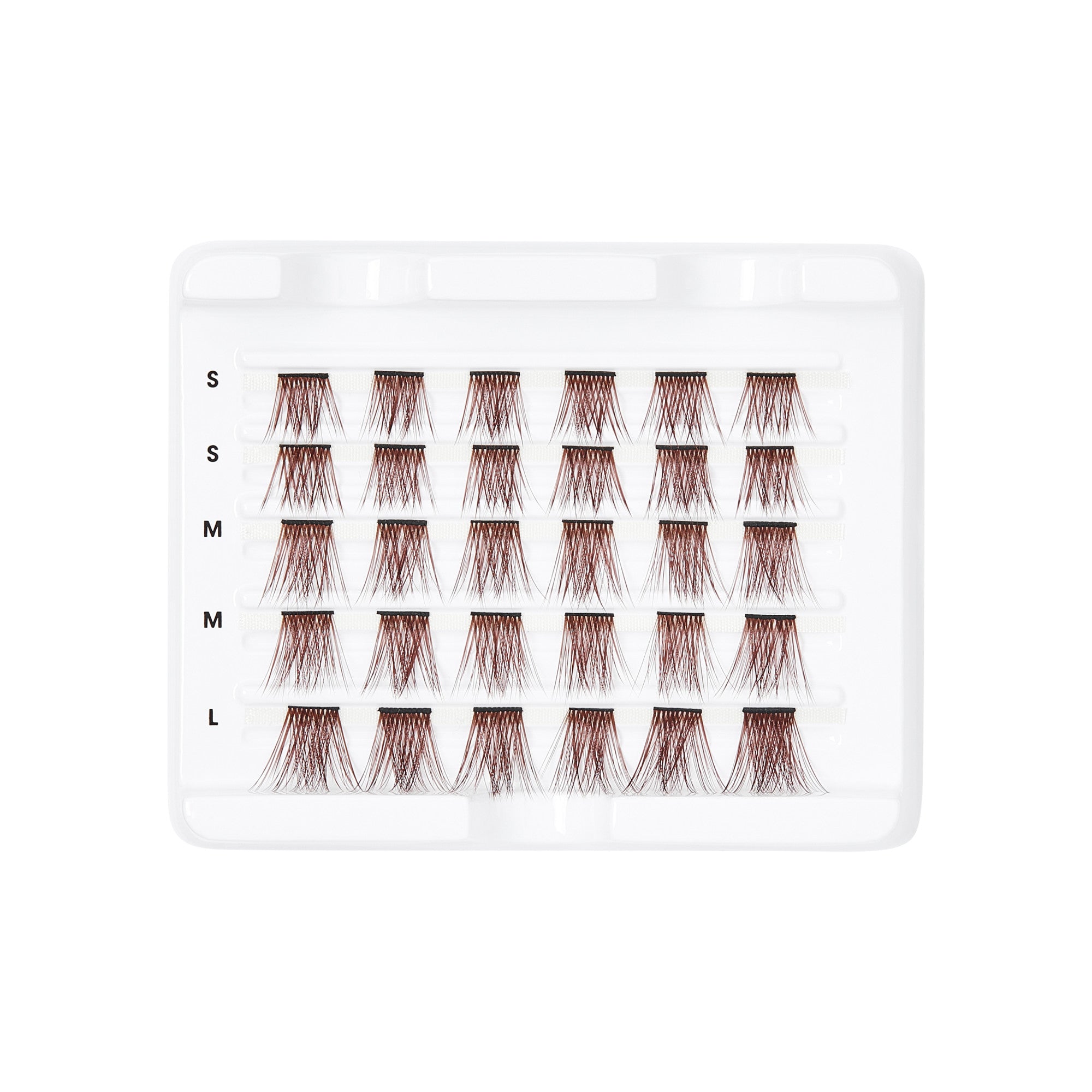 Tray of FALSCARA Wisps Multipack false eyelashes in mocha shade, arranged in five rows with sizes labeled small, medium, and large.