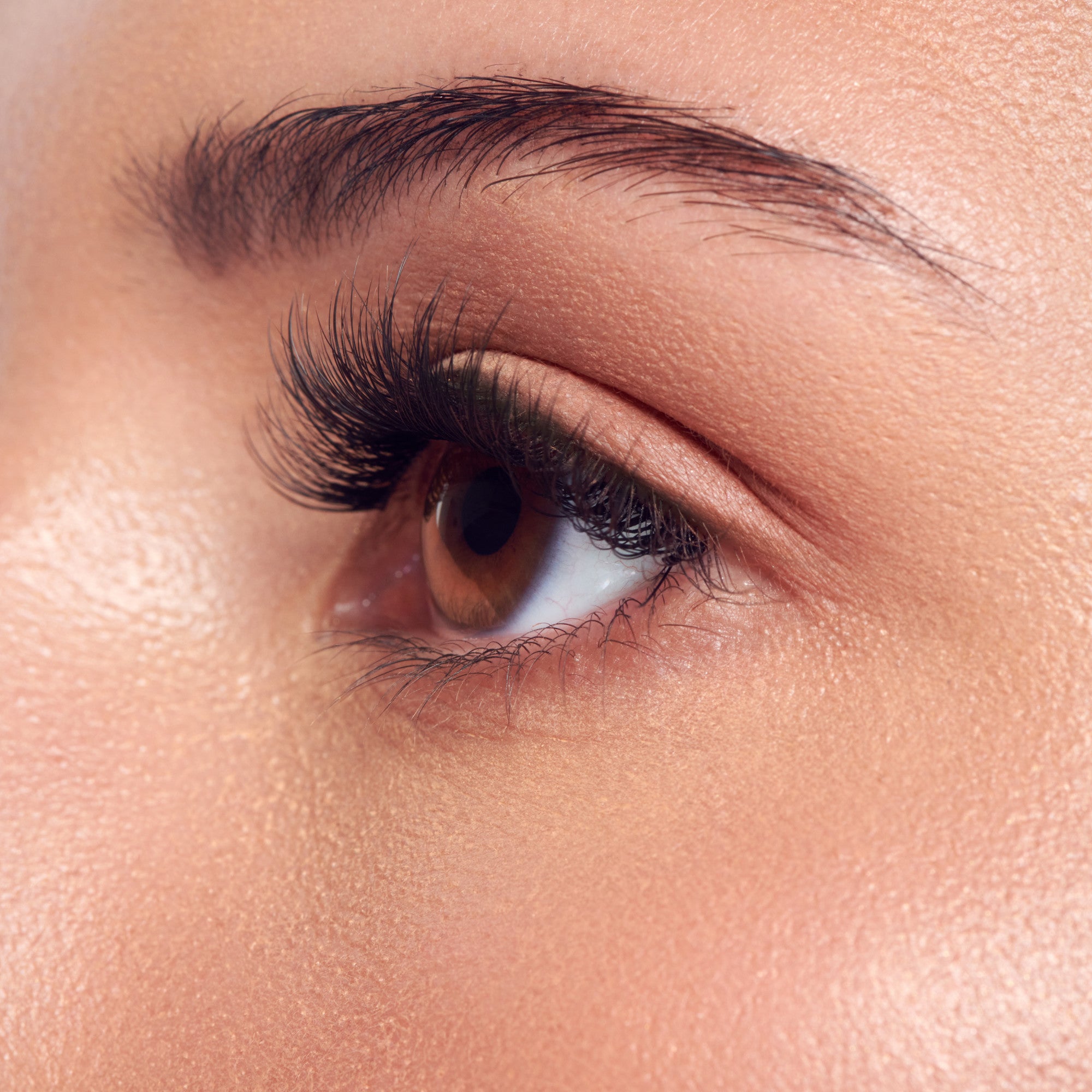 Close-up of a closed eye with dark eyebrows, long black lashes, and warm-toned eyeshadow.