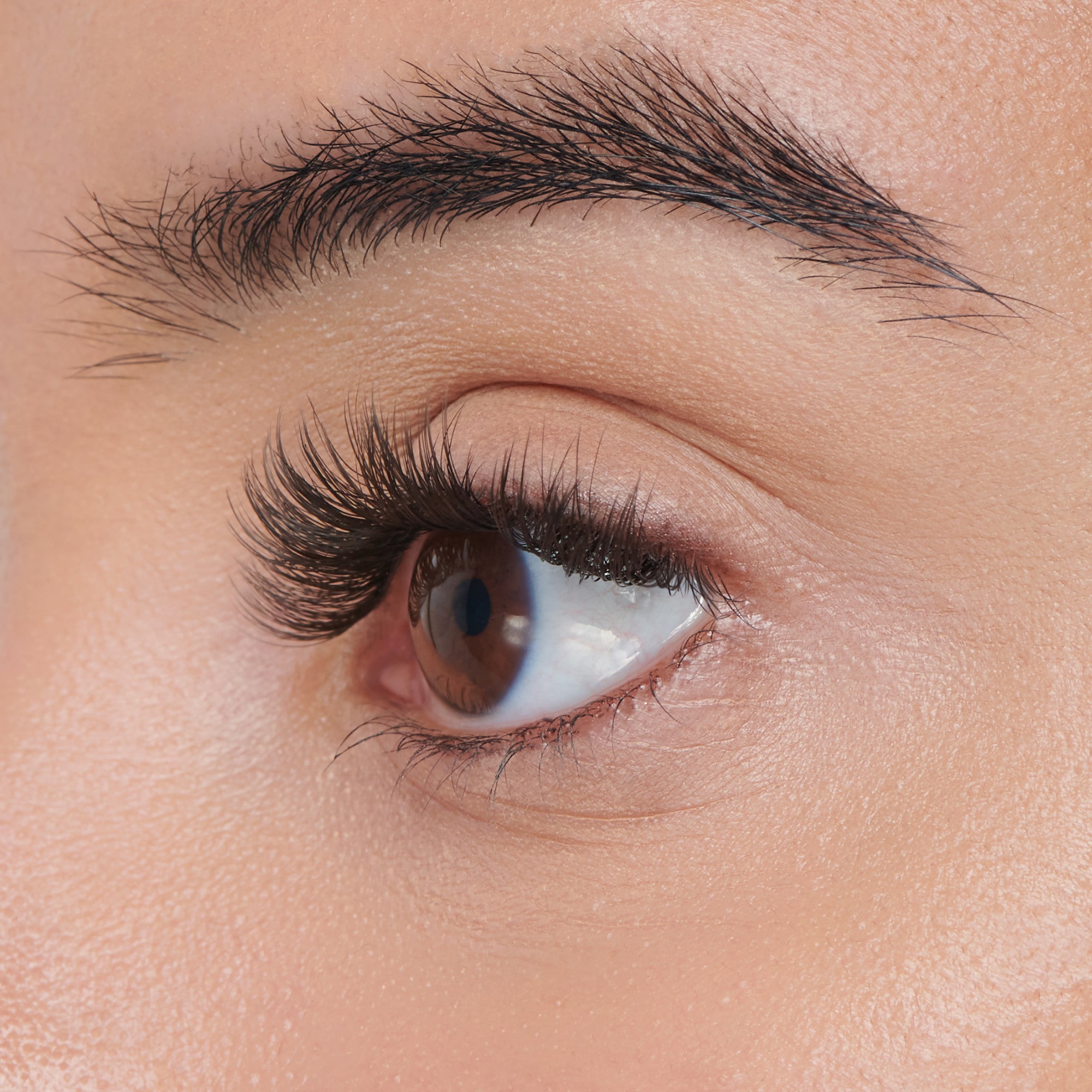 FALSCARA Faux Mink Starter Kit – 36 Wisps