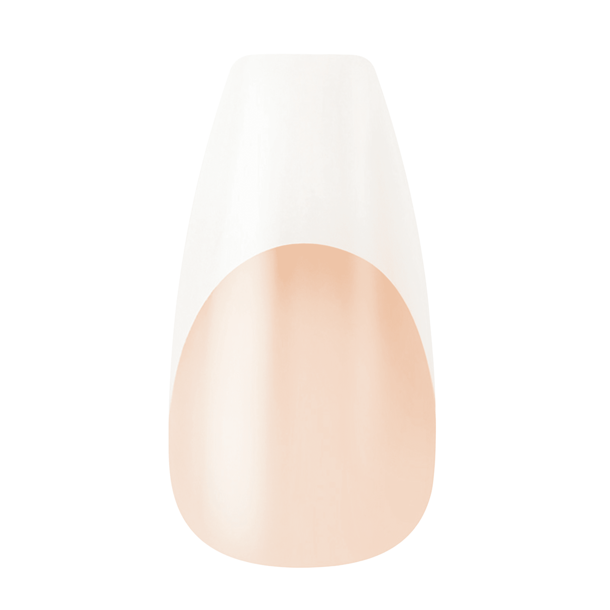 KISS Press On Glue Nails Bundle - The French KISS