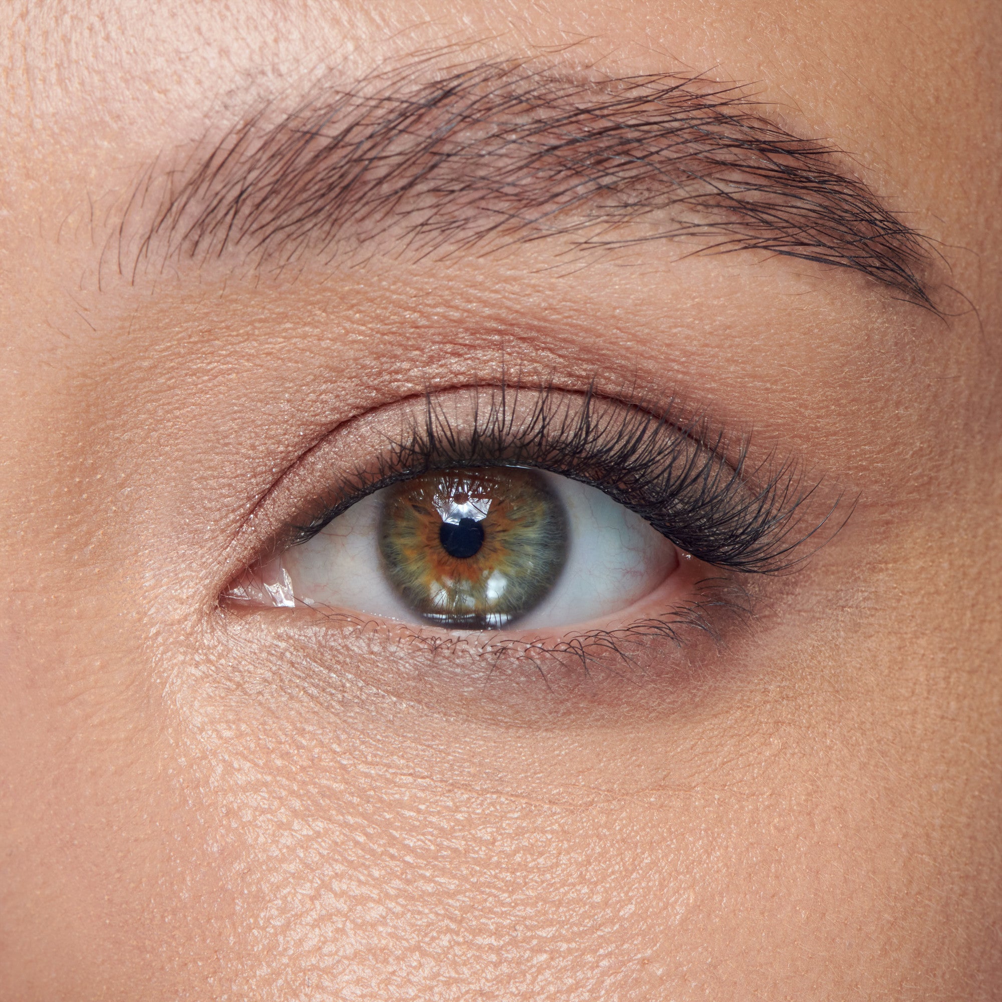 KISS Holiday Lash Case Kit