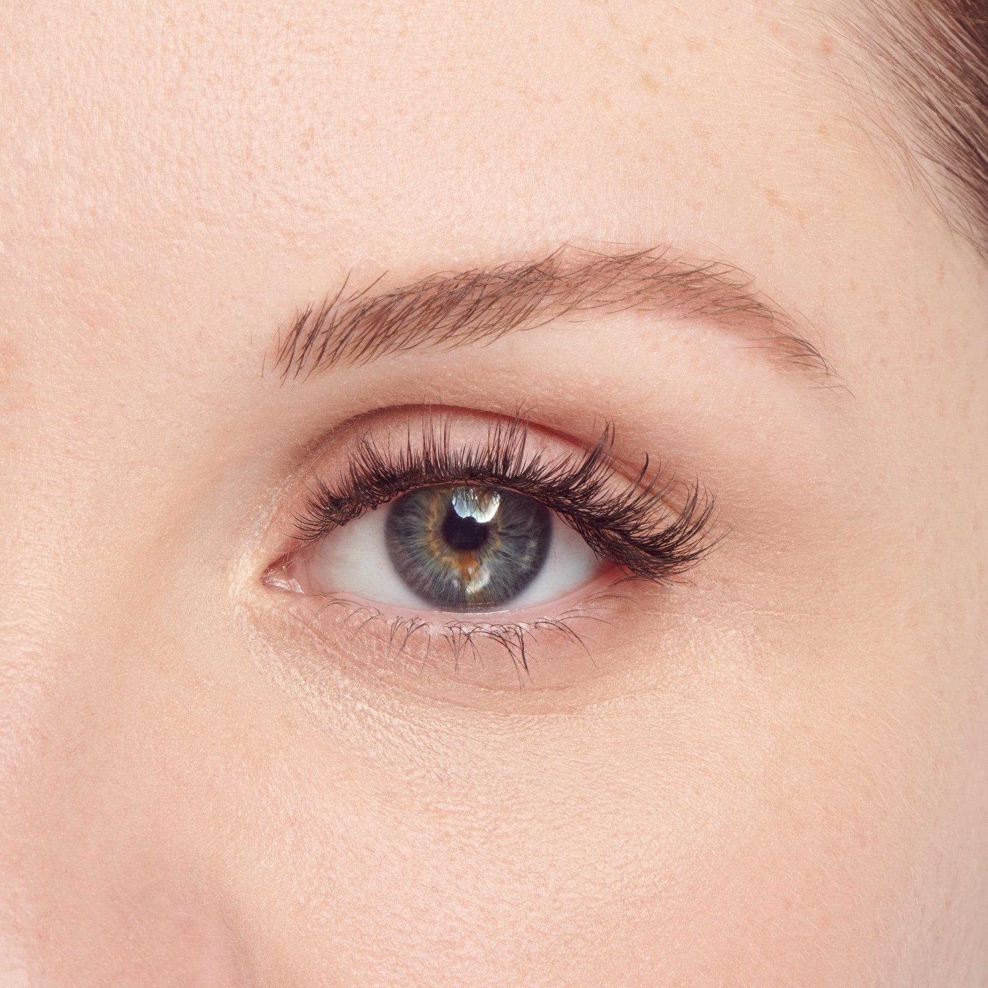The image is a close-up of a human eye. The eye has a blue iris with a dark outer ring and a lighter inner ring. The eyelashes are long and well-defined, and the eyebrow above the eye is neatly groomed. The skin around the eye is smooth and fair, with a natural complexion. The lighting in the image highlights the details of the eye and the surrounding area.
