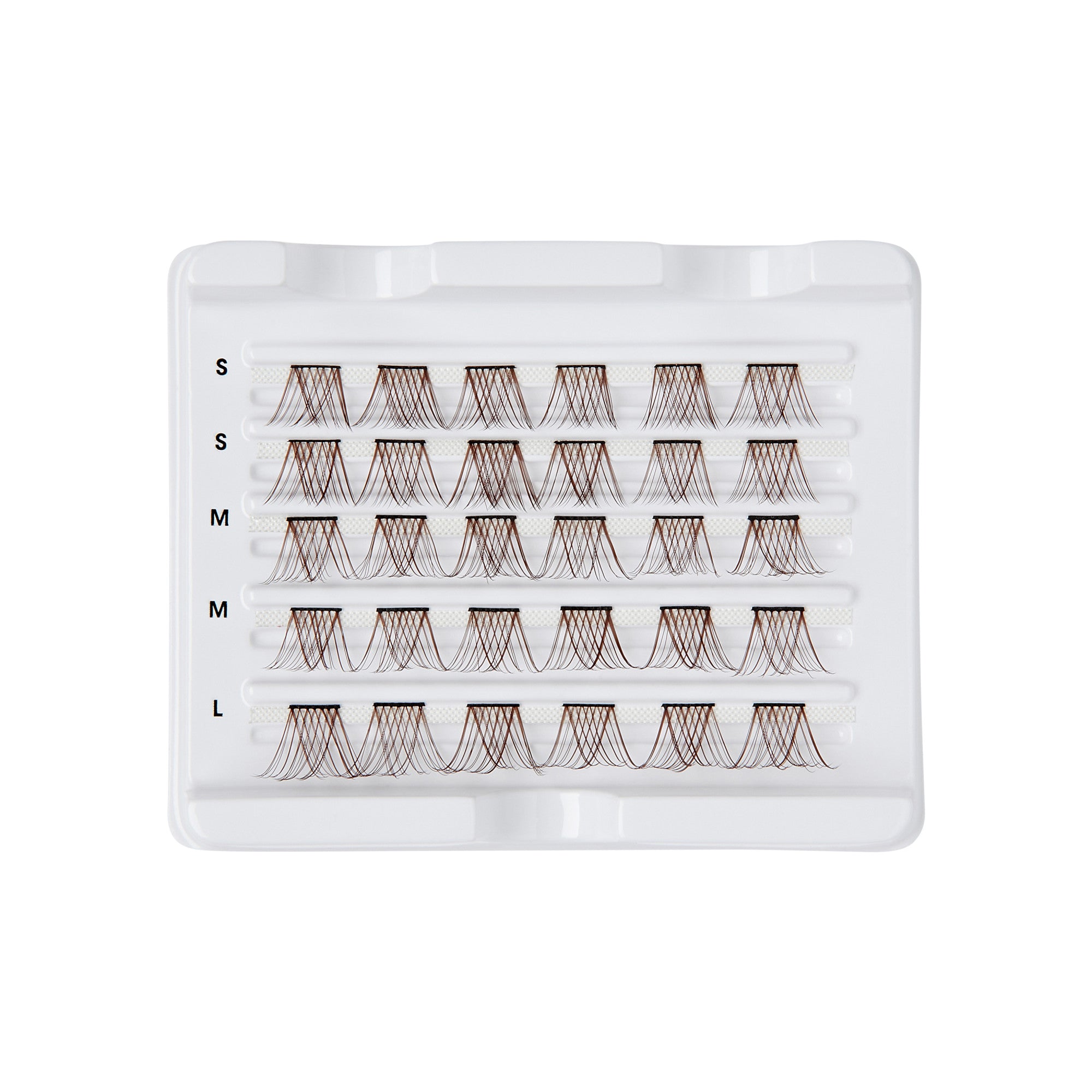 The image shows a white plastic tray containing multiple sets of false eyelashes. The tray is organized into five rows, each holding several clusters of eyelashes. The rows are labeled on the left side with the sizes "S," "S," "M," "M," and "L," indicating small, medium, and large sizes. Each cluster of eyelashes is neatly arranged in its respective row, with the lashes appearing to be brown in color. The tray is designed to keep the eyelashes organized and easily accessible for application.