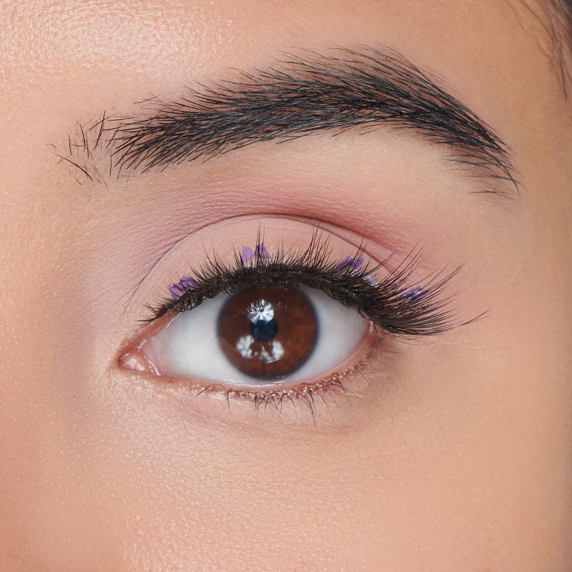 Close-up of a brown eye with long, natural-style false eyelashes decorated with small purple star-shaped gems along the lash line.