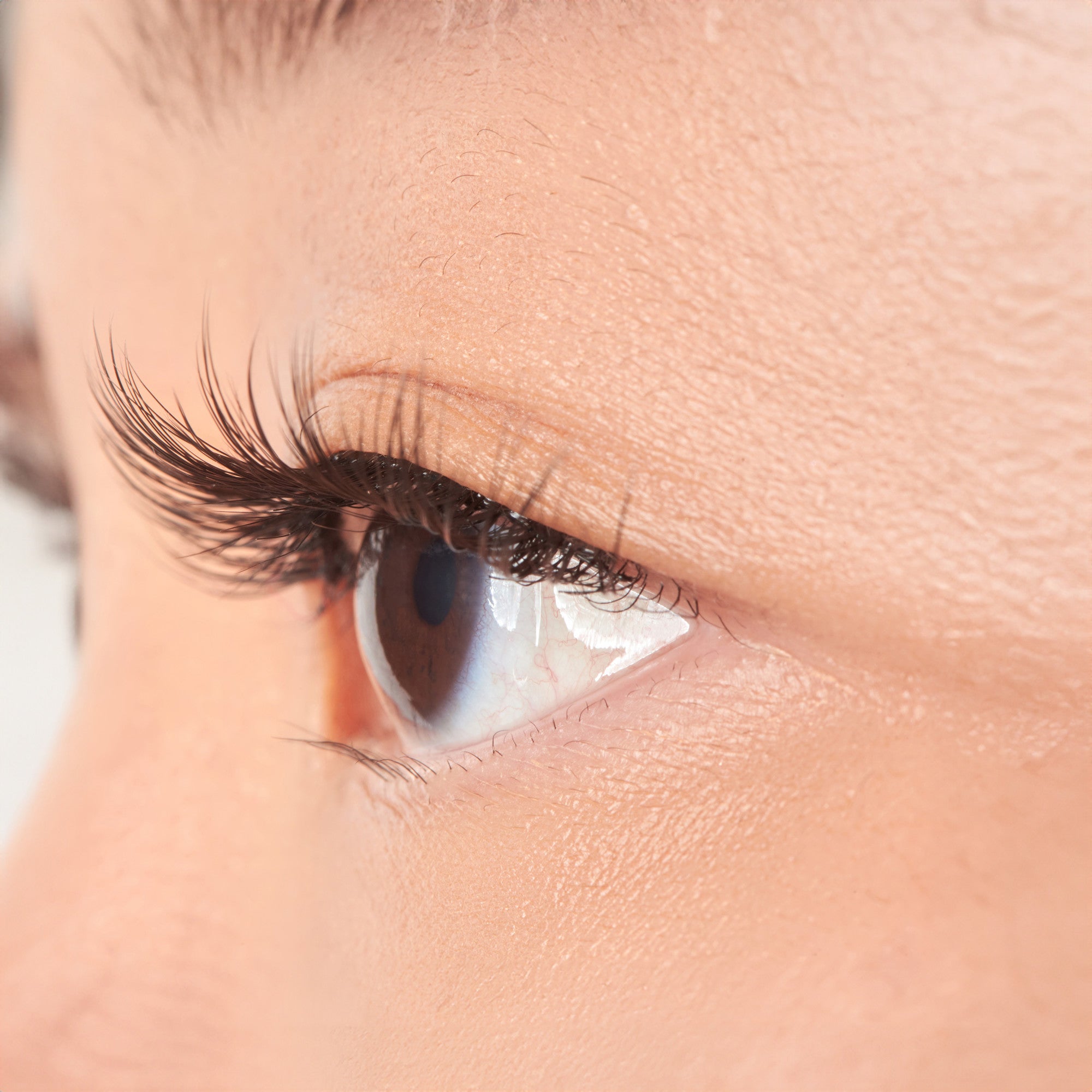 KISS My Lash But Better - No Filters