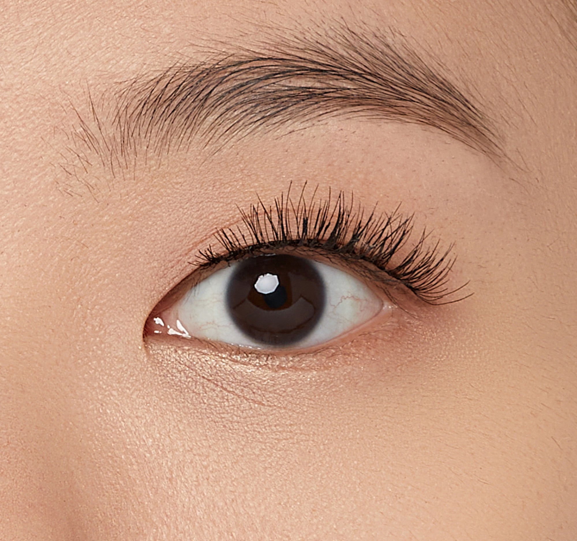 The image shows a close-up of a human eye. The eye has a dark brown iris and is framed by long, thick eyelashes. The skin around the eye is smooth and appears to be well-moisturized. The eyebrow above the eye is neatly groomed. The lighting in the image highlights the natural texture and features of the skin and eye.