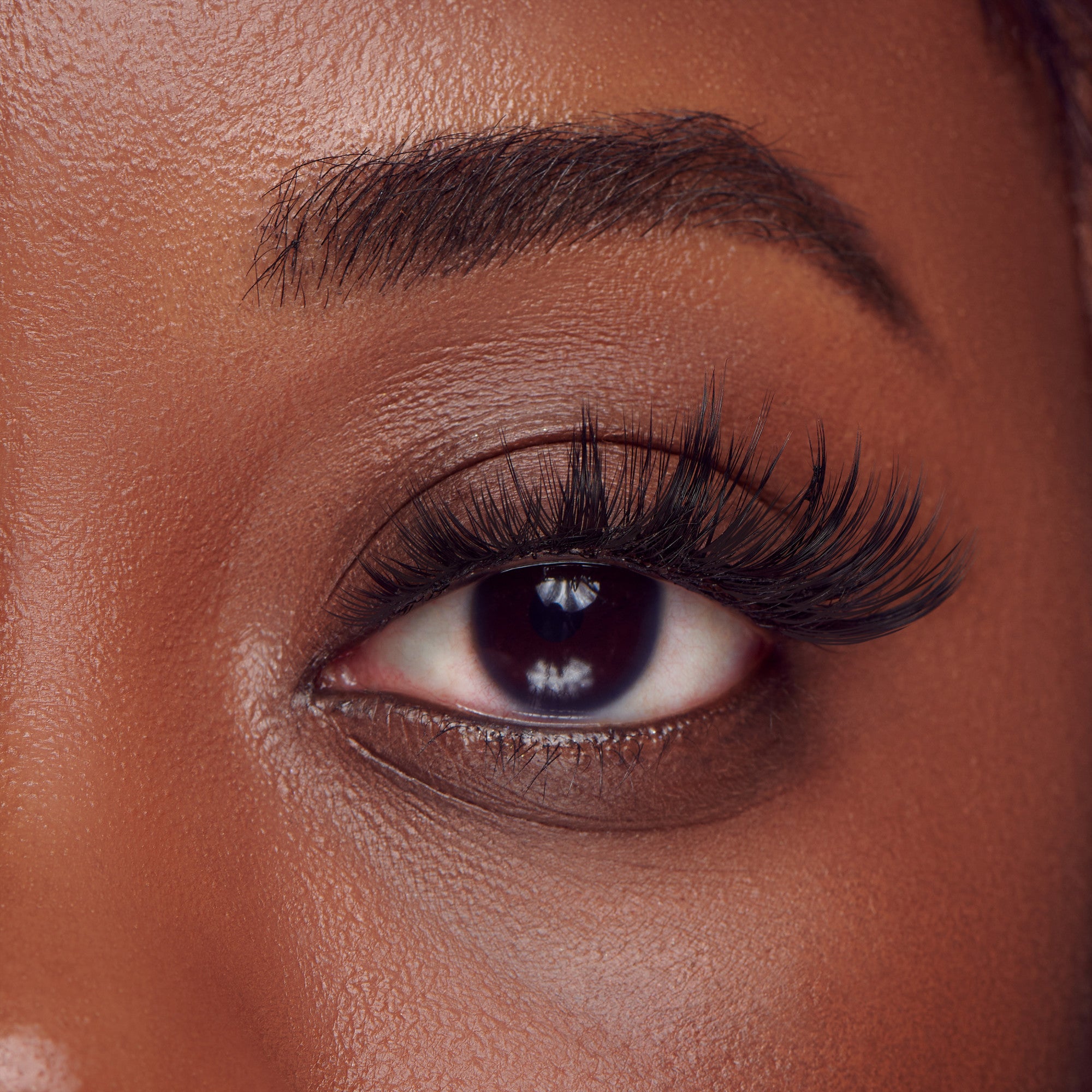 The image features a close-up of a single eye, showcasing long, dramatic eyelashes. The skin tone is rich and warm, highlighting the smooth texture around the eye. The eyebrow is well-groomed and slightly arched, complementing the eye&