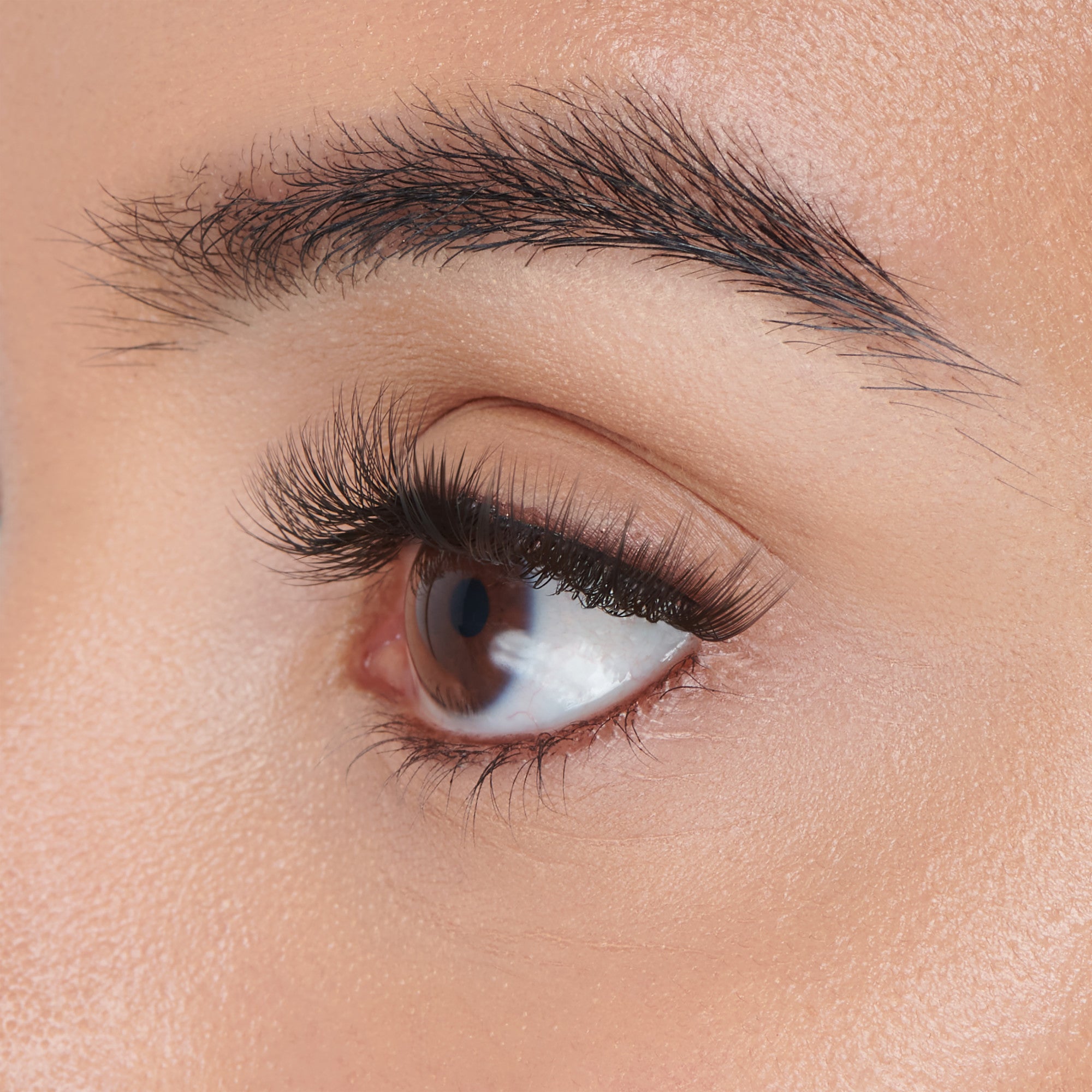 The image features a close-up of a human eye, showcasing the intricate details of the eyelashes and the skin around the eye. The eyelashes are long and well-defined, framing the eye beautifully. The iris is a rich brown color, and the pupil is clearly visible. The skin surrounding the eye appears smooth and well-groomed, highlighting the natural beauty of the eye. The overall focus is on the eye&