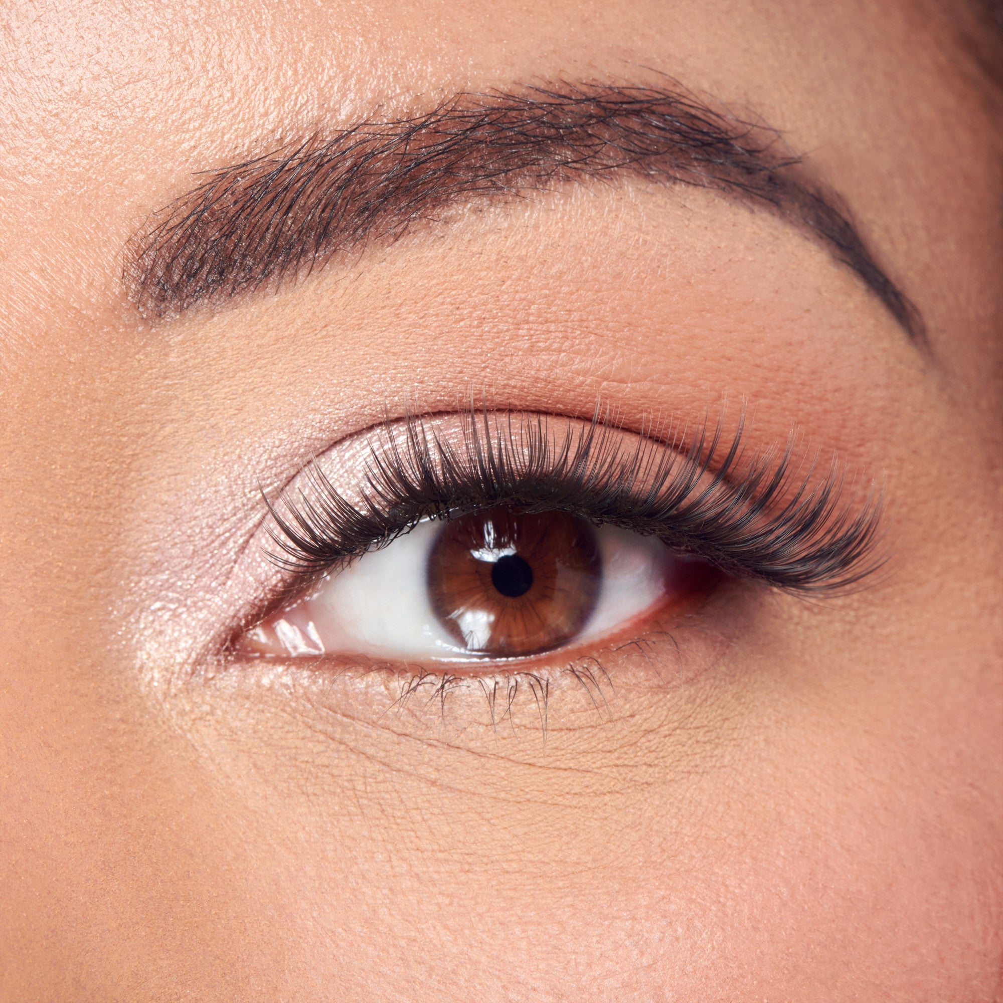 FALSCARA Classic Wispy Mega Multipack - 50 Wisps