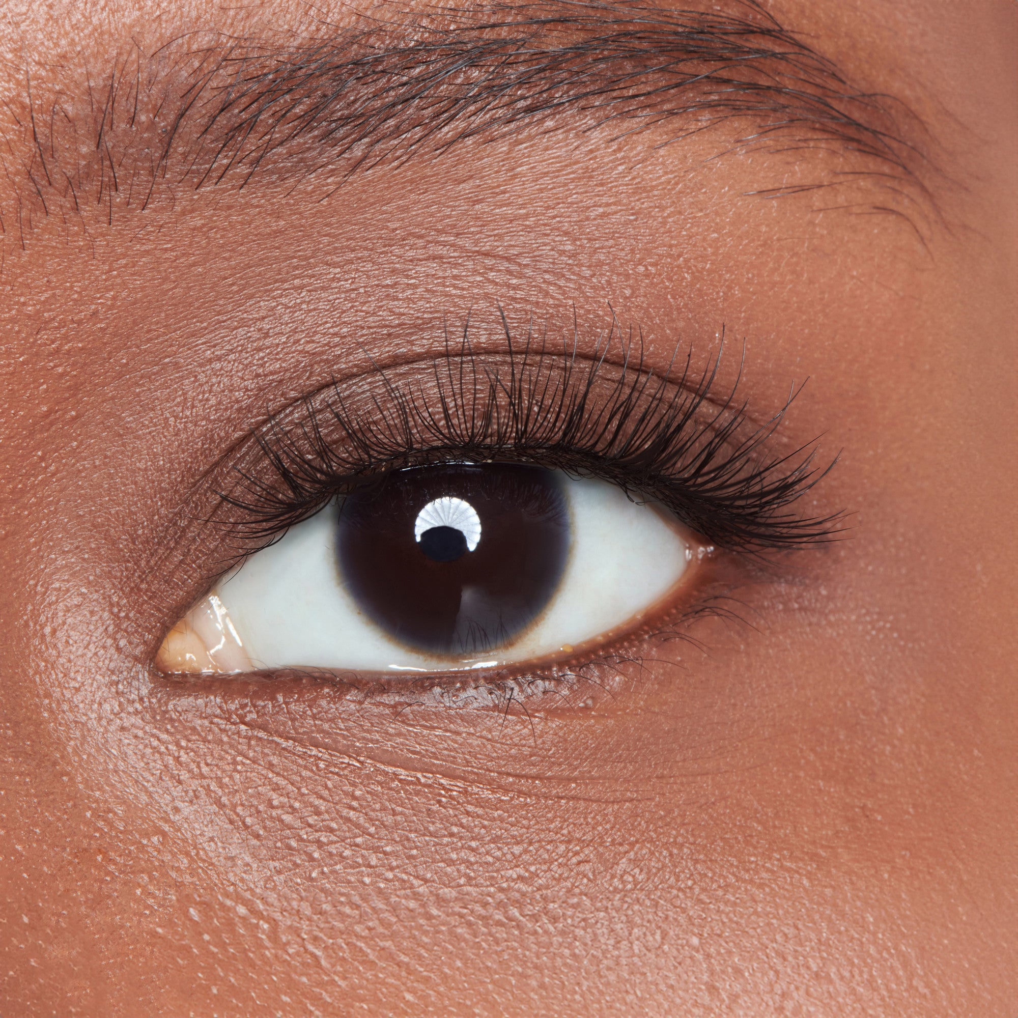 KISS Holiday Lash Case Kit