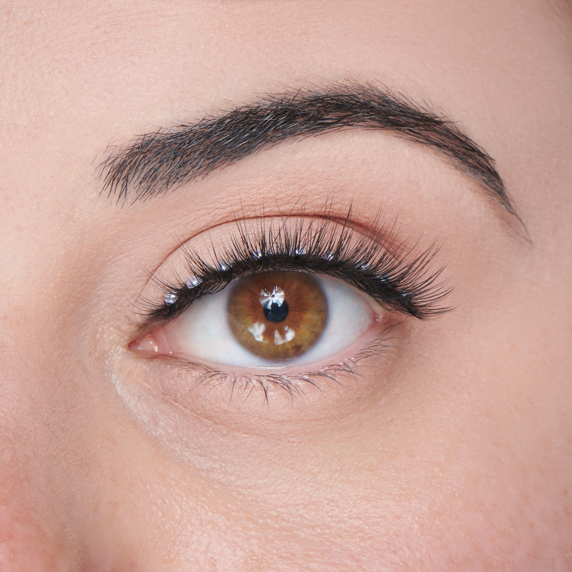 Close-up of a brown eye with black eyeliner and full lashes on fair skin.