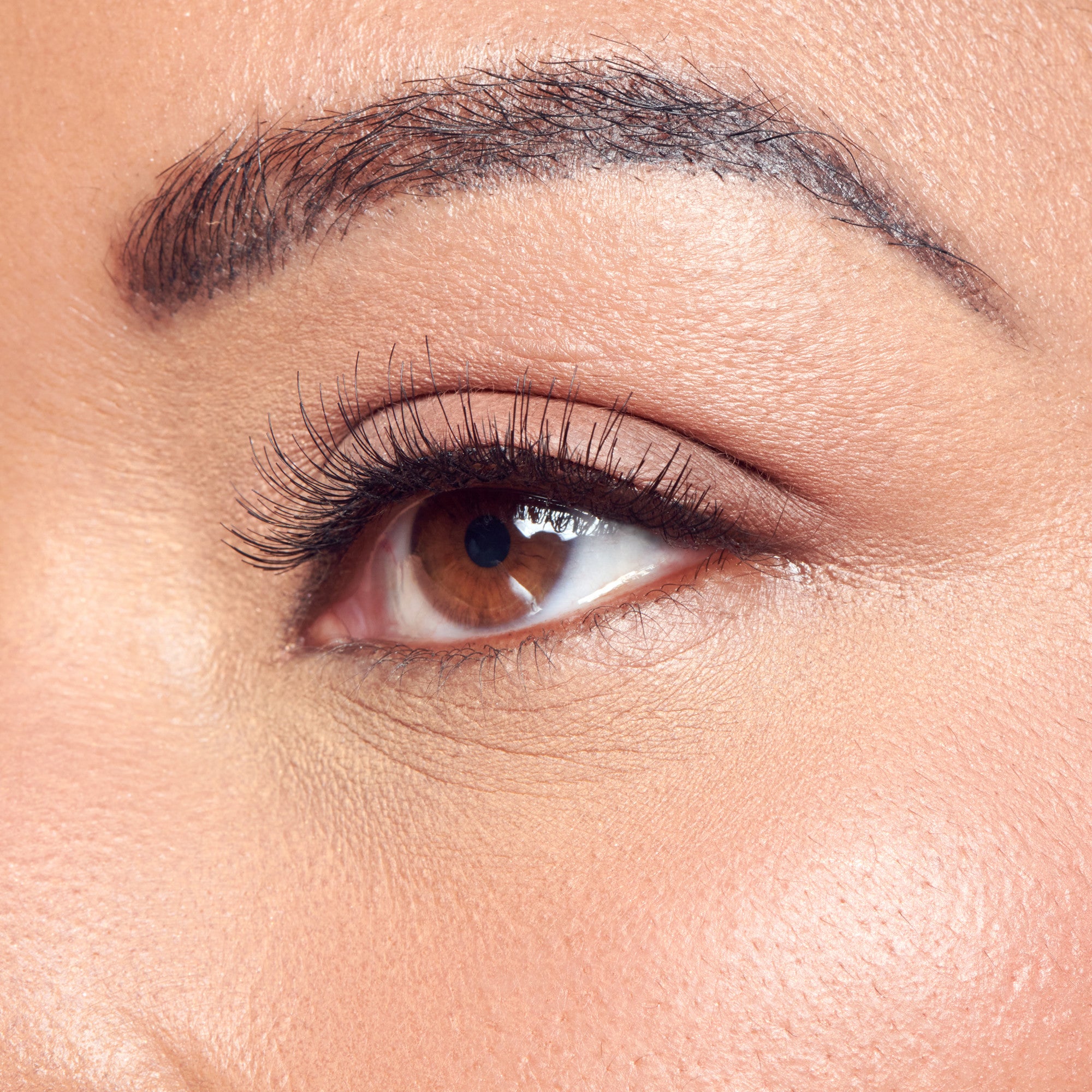 Close-up of a brown eye with naturally enhanced long, curled black eyelashes and well-groomed dark eyebrows on smooth skin.