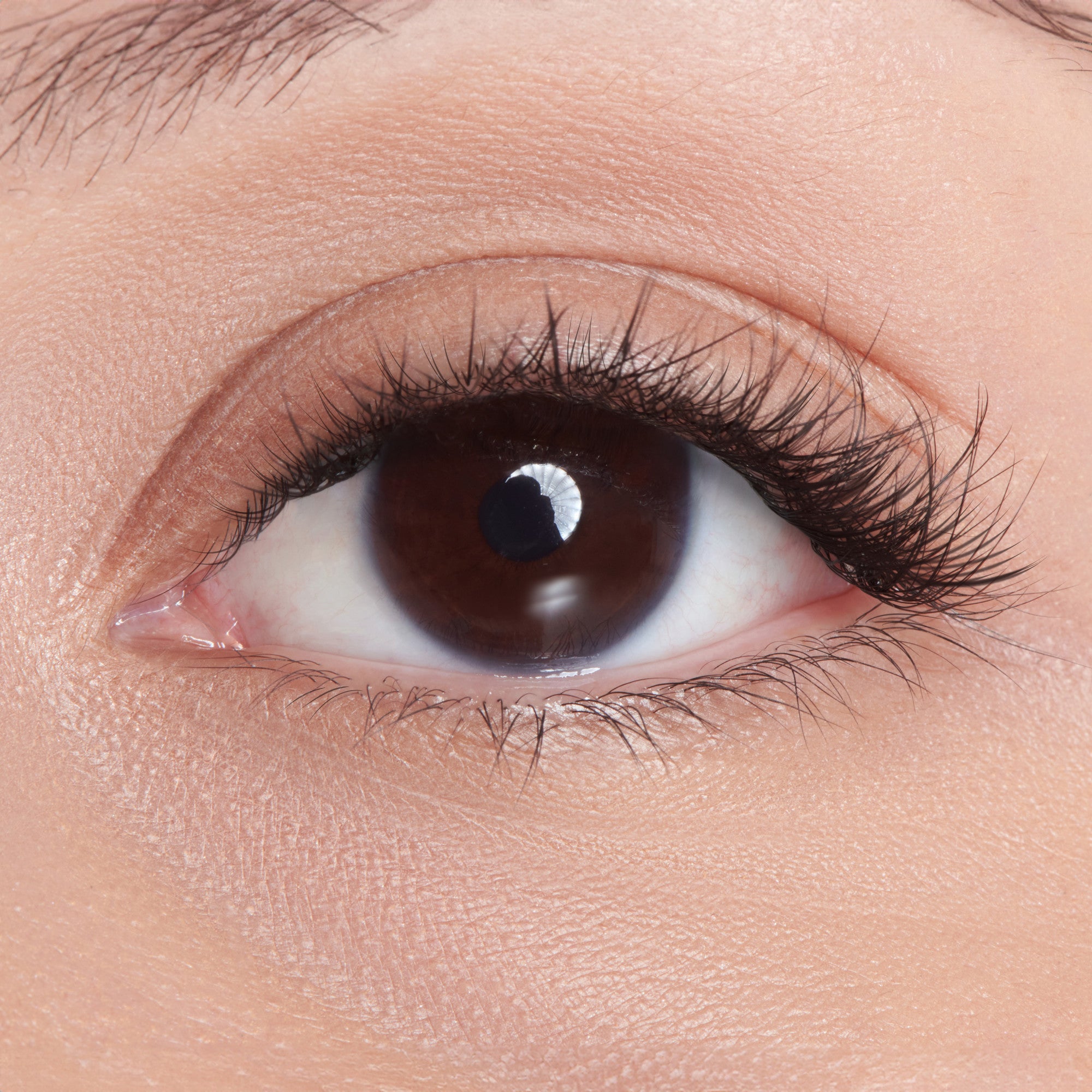 The image features a close-up of a human eye. The eye has a dark brown iris and a well-defined pupil, with a bright reflection visible in the pupil. The eyelashes are long and prominent, framing the eye beautifully. The skin around the eye appears smooth and lightly toned, contributing to a clean and natural look. Overall, the image captures the intricate details of the eye, highlighting its depth and expressiveness.