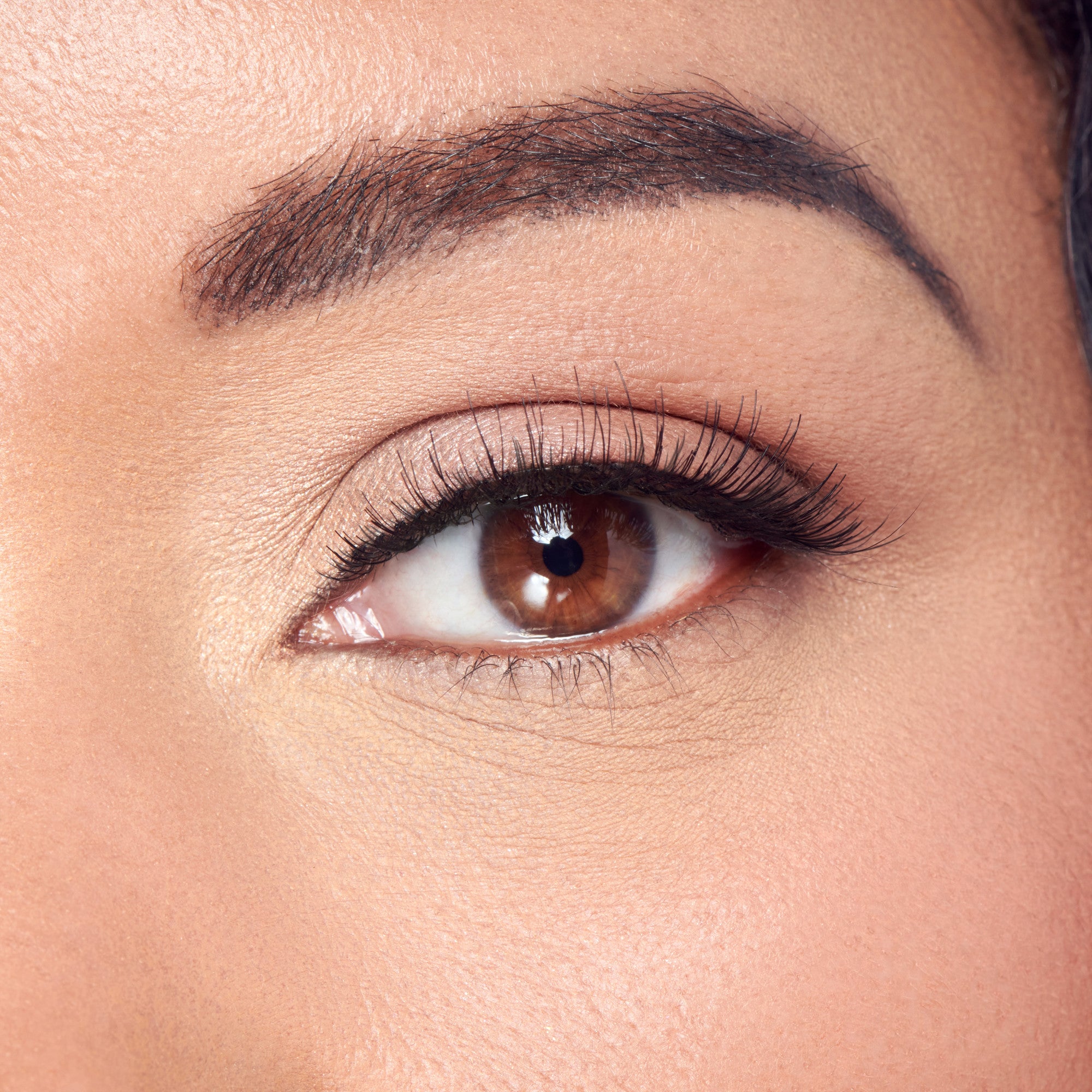 Close-up of a brown eye with natural-looking false eyelashes applied, showing long, wispy lashes and well-defined eyebrows on smooth skin.