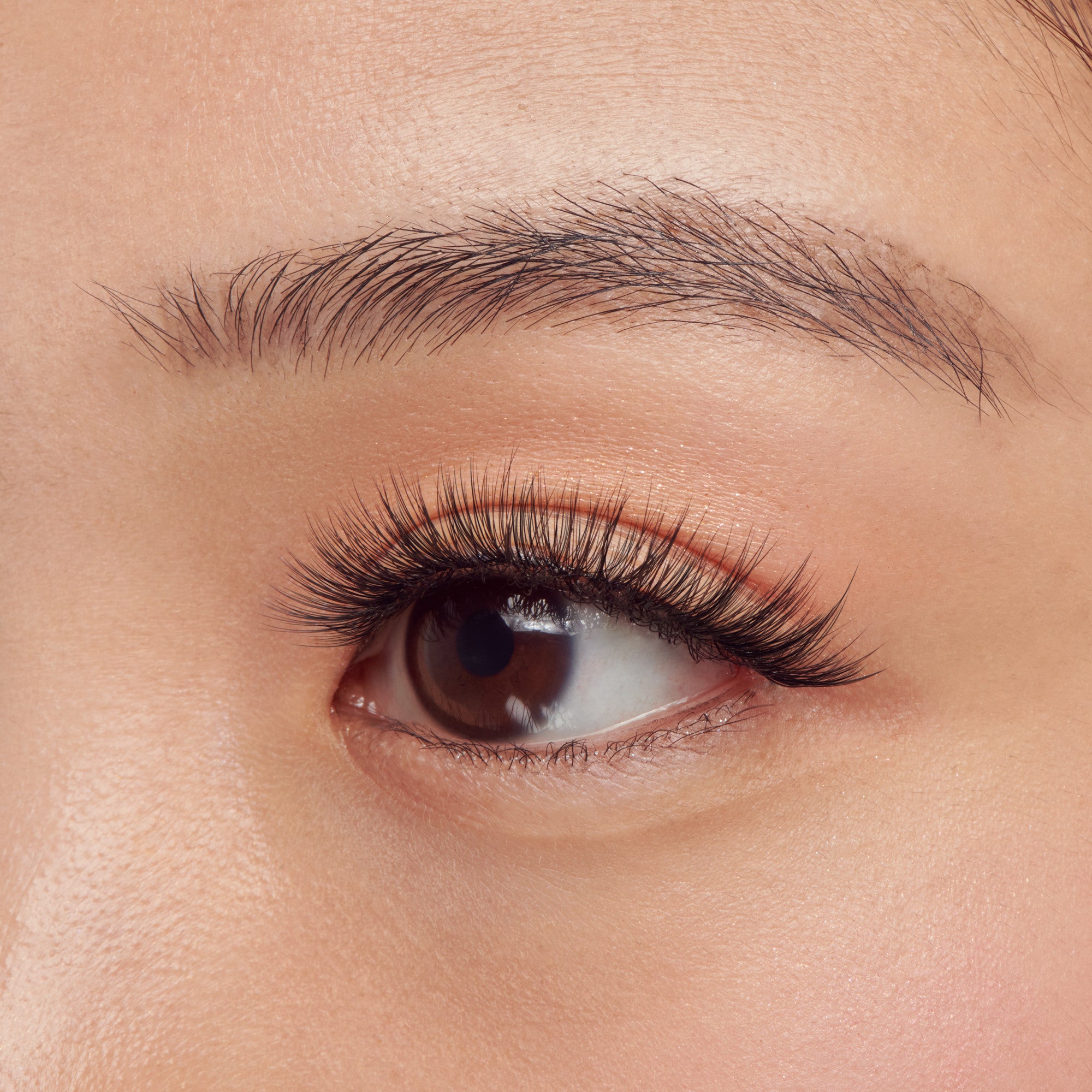 Kiss Lash Couture Luxtensions Kit