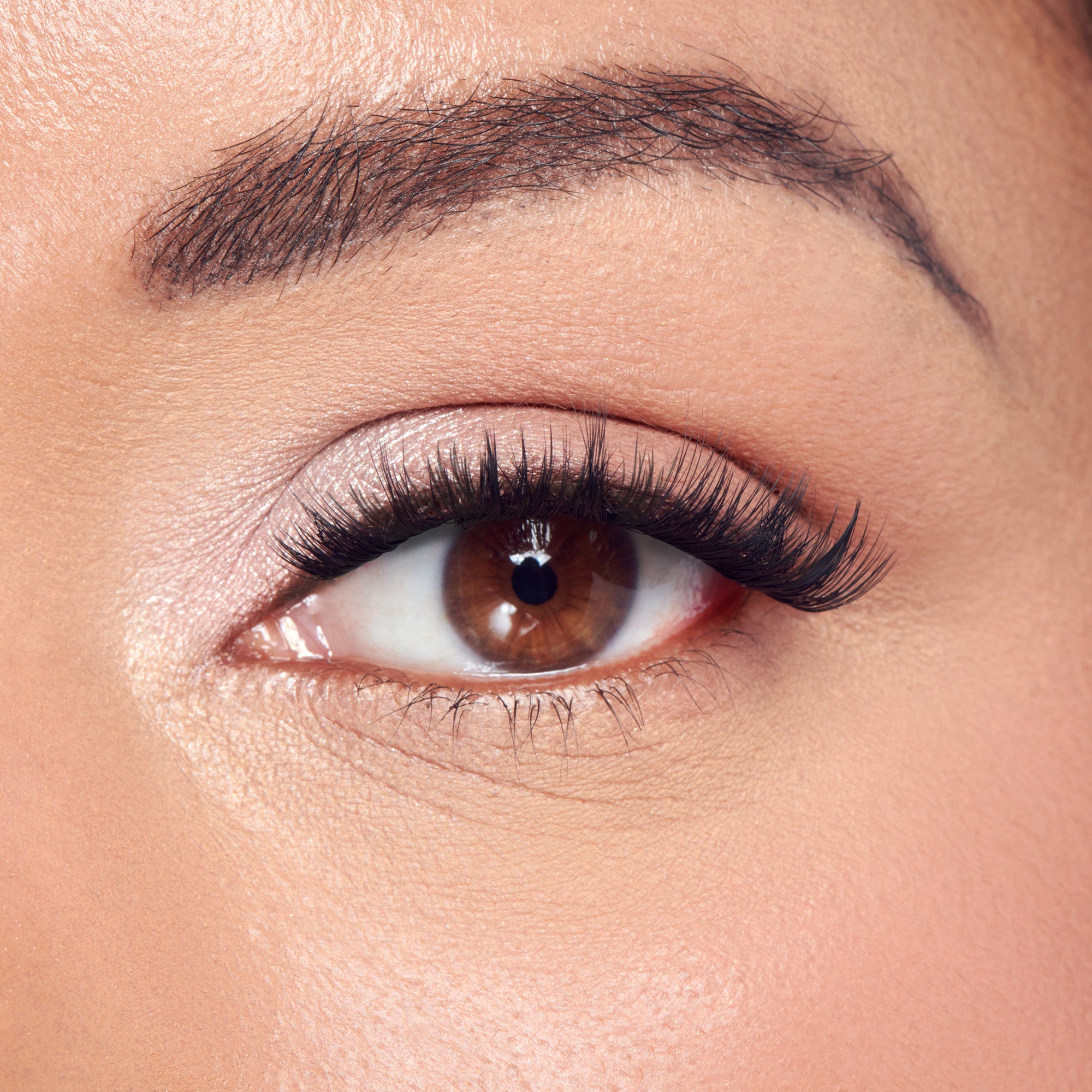 KISS Peony False Eyelashes, Lash Extension Kit, 180 Lash Clusters - Moonlit Bloom