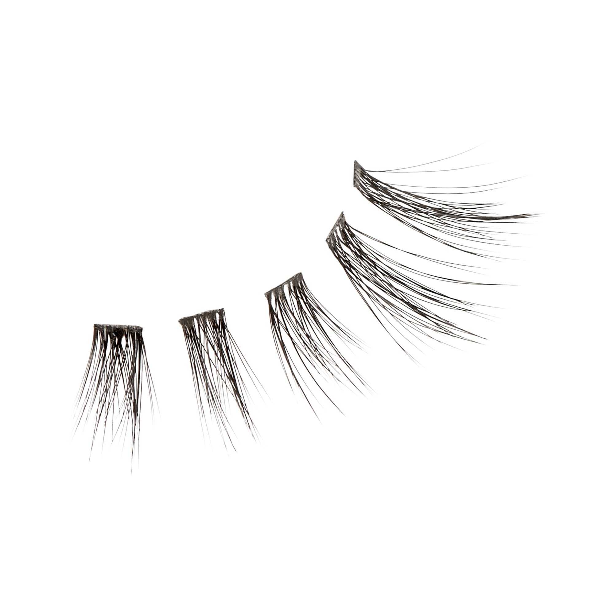 Five segments of natural-looking black lash extensions arranged in a curved line on a white background, showing gradual length increase.