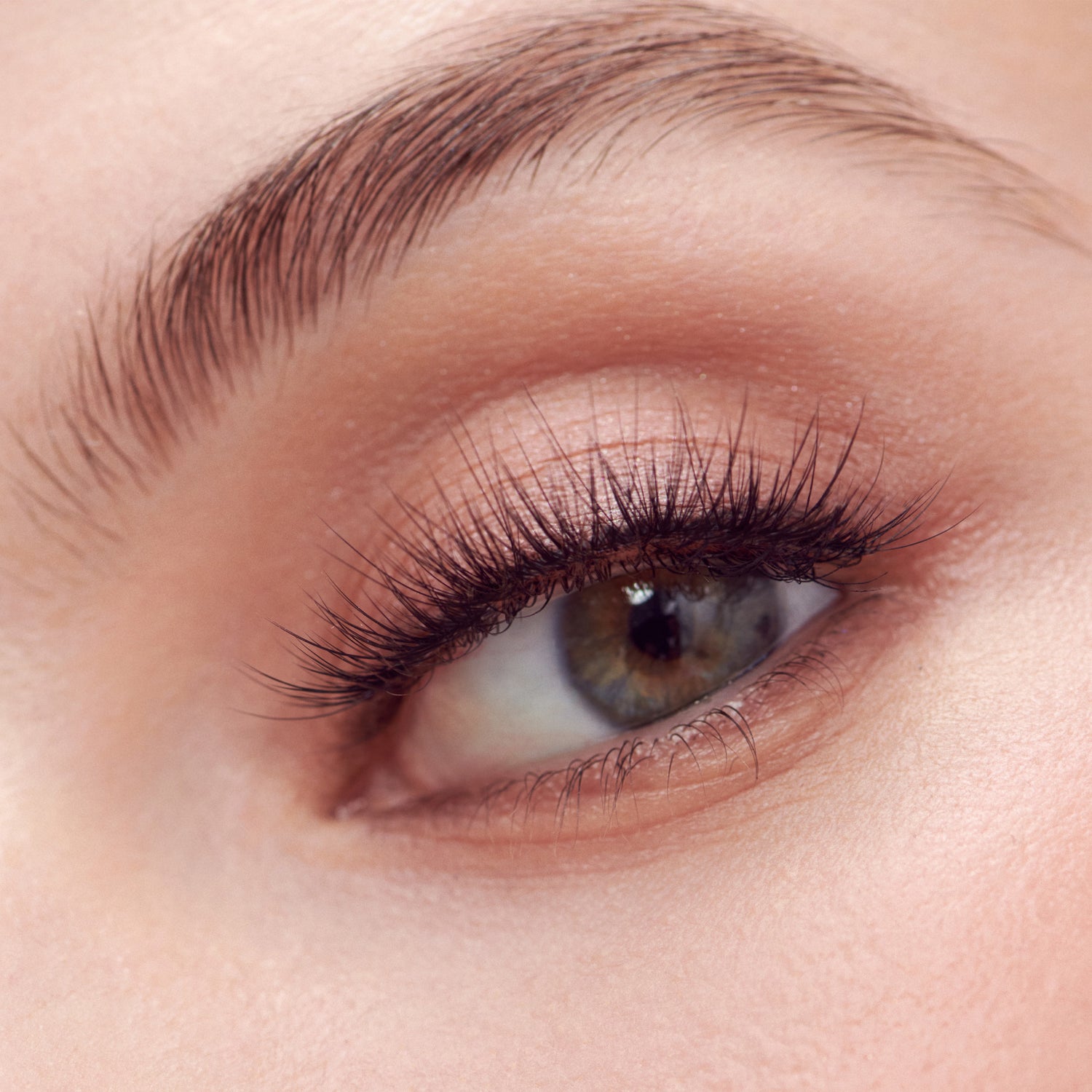 Close-up of a person&