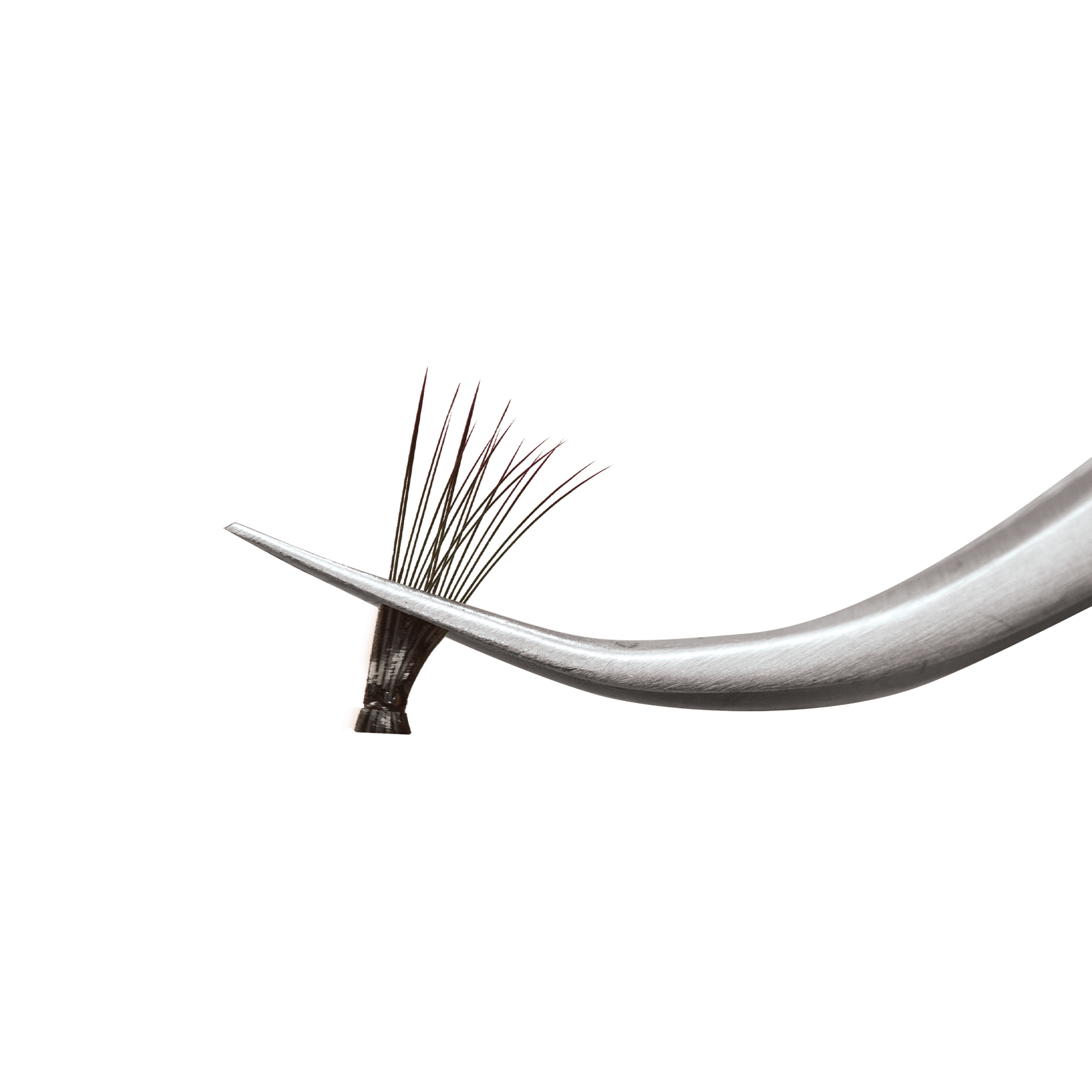 Kiss Lash Couture Luxtensions Kit