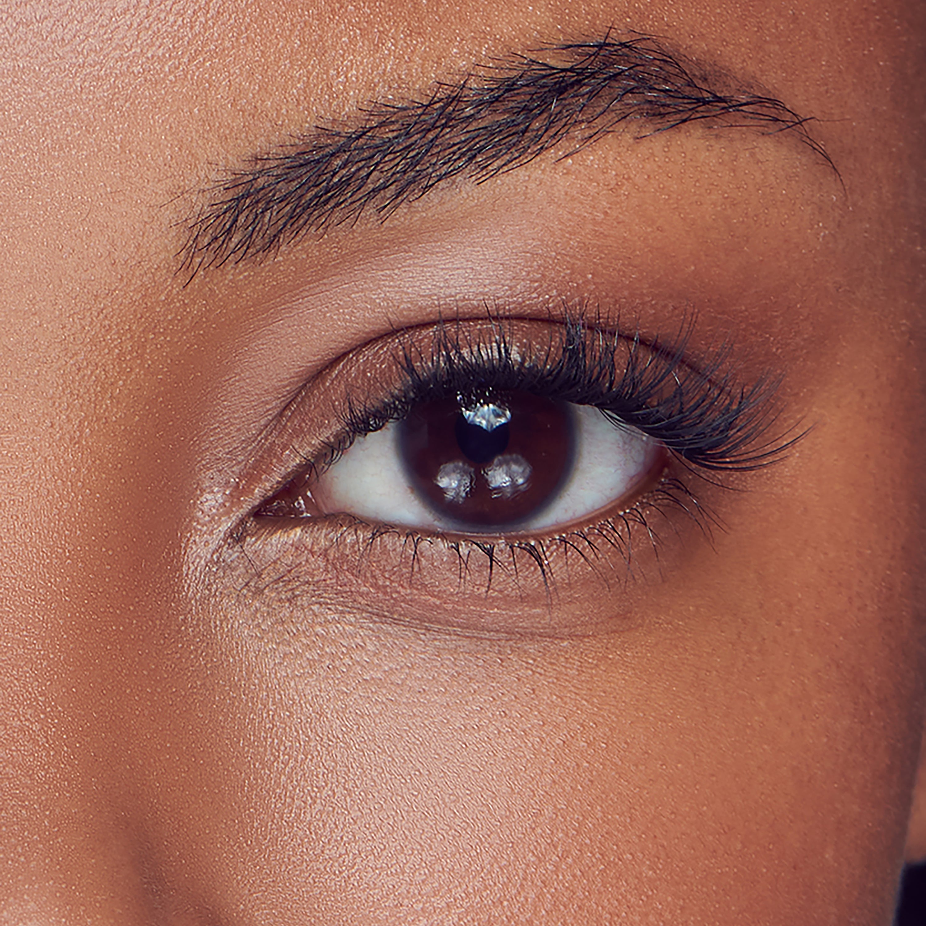 Close-up of a brown eye with long, natural-looking false eyelashes applied, showcasing enhanced length and volume on smooth skin.