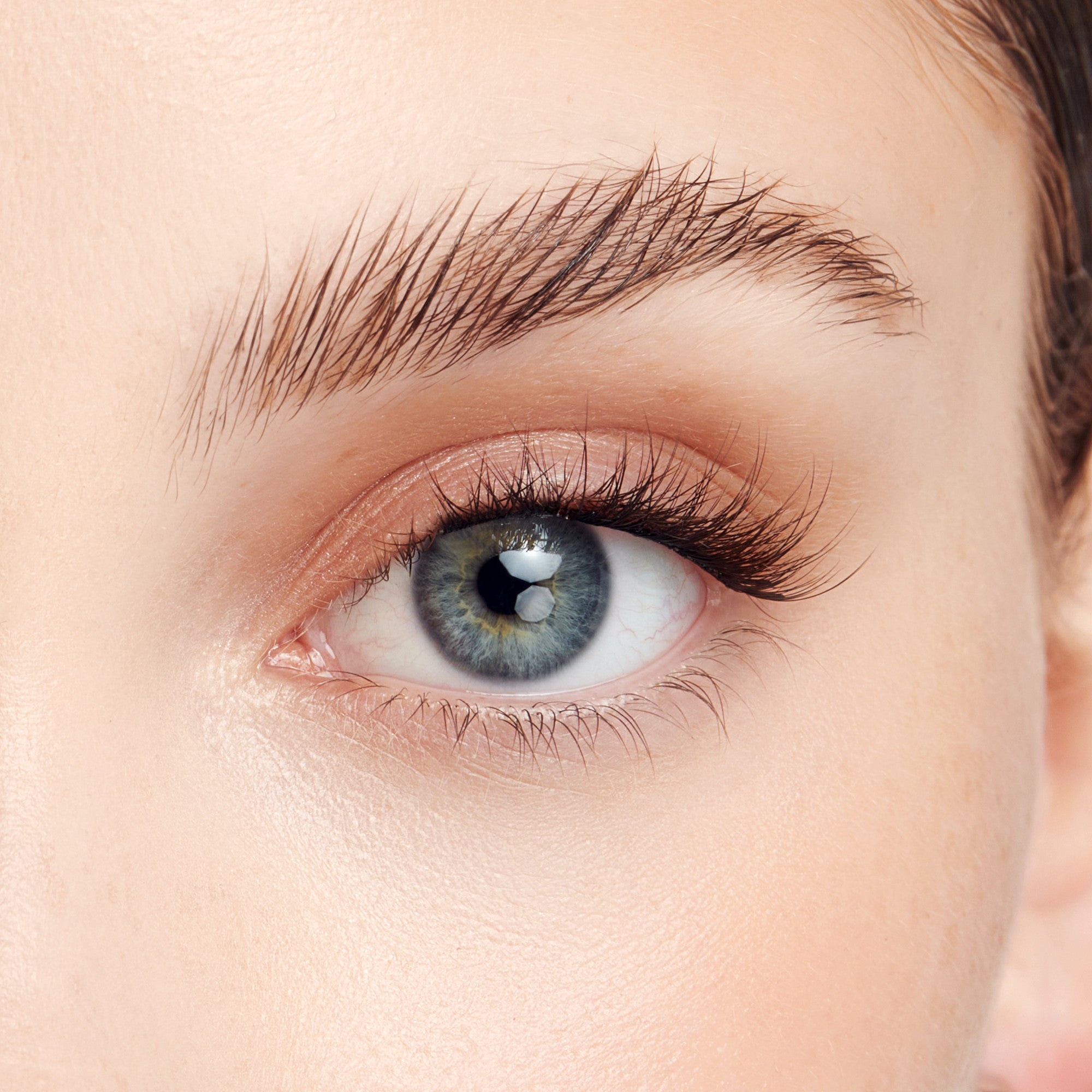 Close-up of a blue eye with natural-looking, curled false eyelashes applied on the upper lash line, enhancing length and volume.