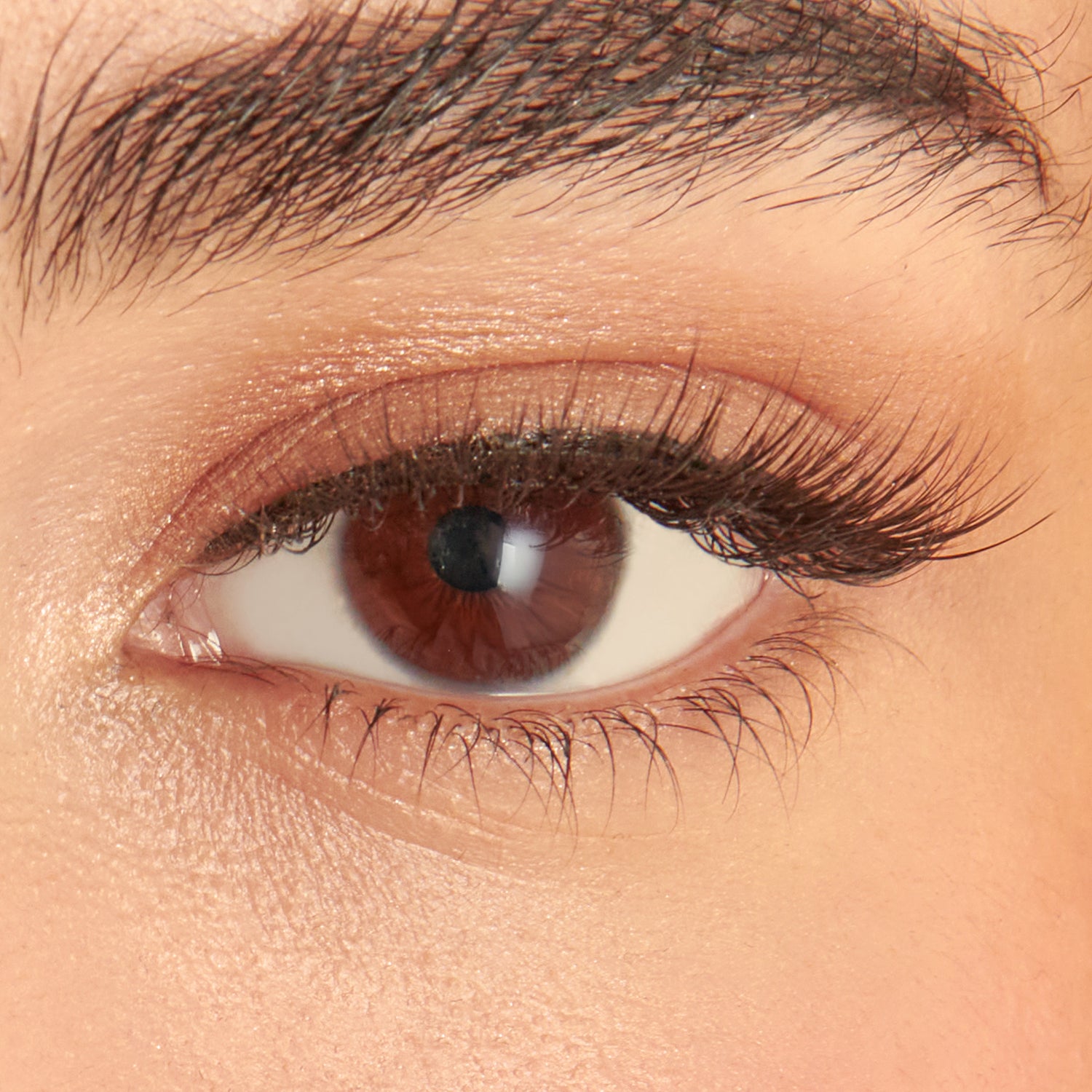 KISS Lash Couture Faux Mink Holiday Lashes – Little Black Dress