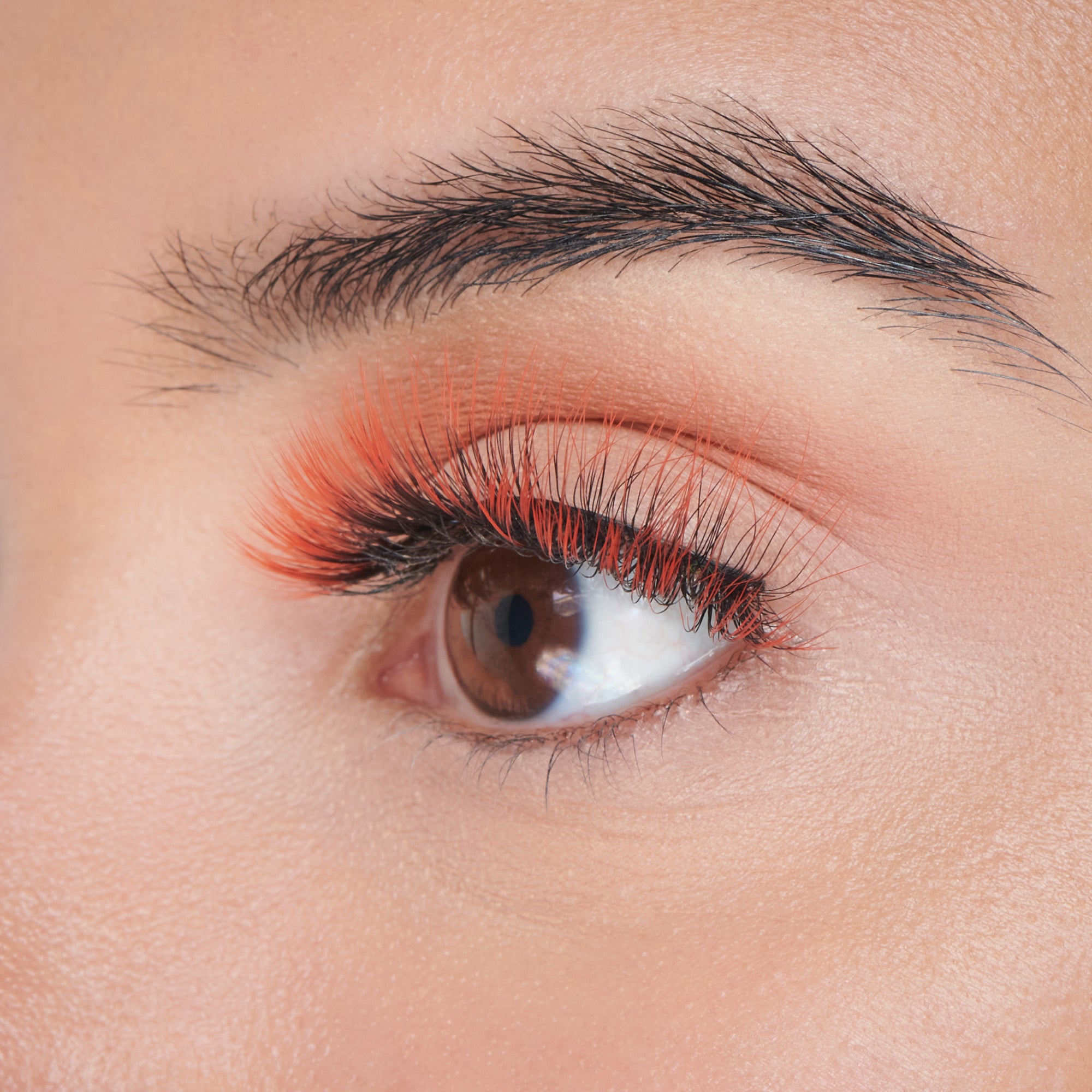 Close-up of a brown eye wearing false eyelashes with bright orange tips and matching orange eyeshadow, showcasing a Halloween-themed lash style.