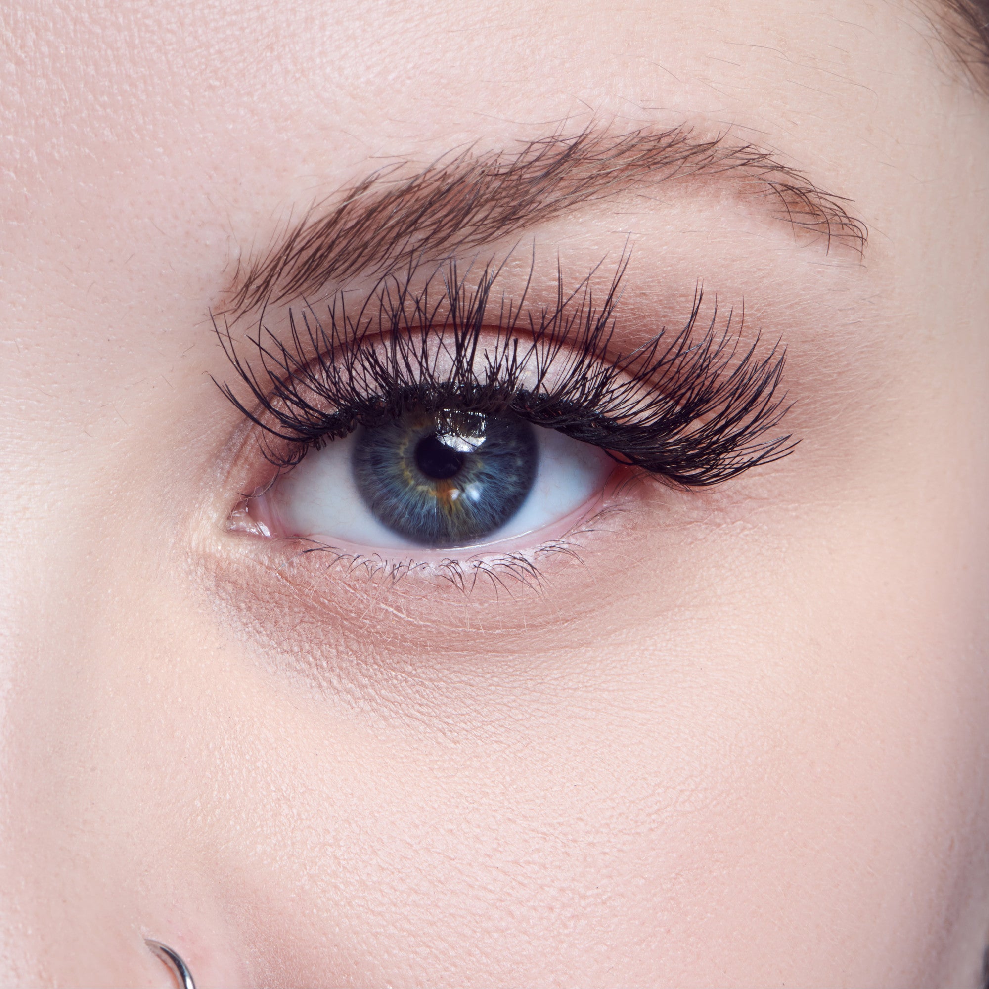 Close-up of a blue eye with long, natural-looking KISS Sister Nature Dawn false eyelashes applied, showing detailed lash length and volume.