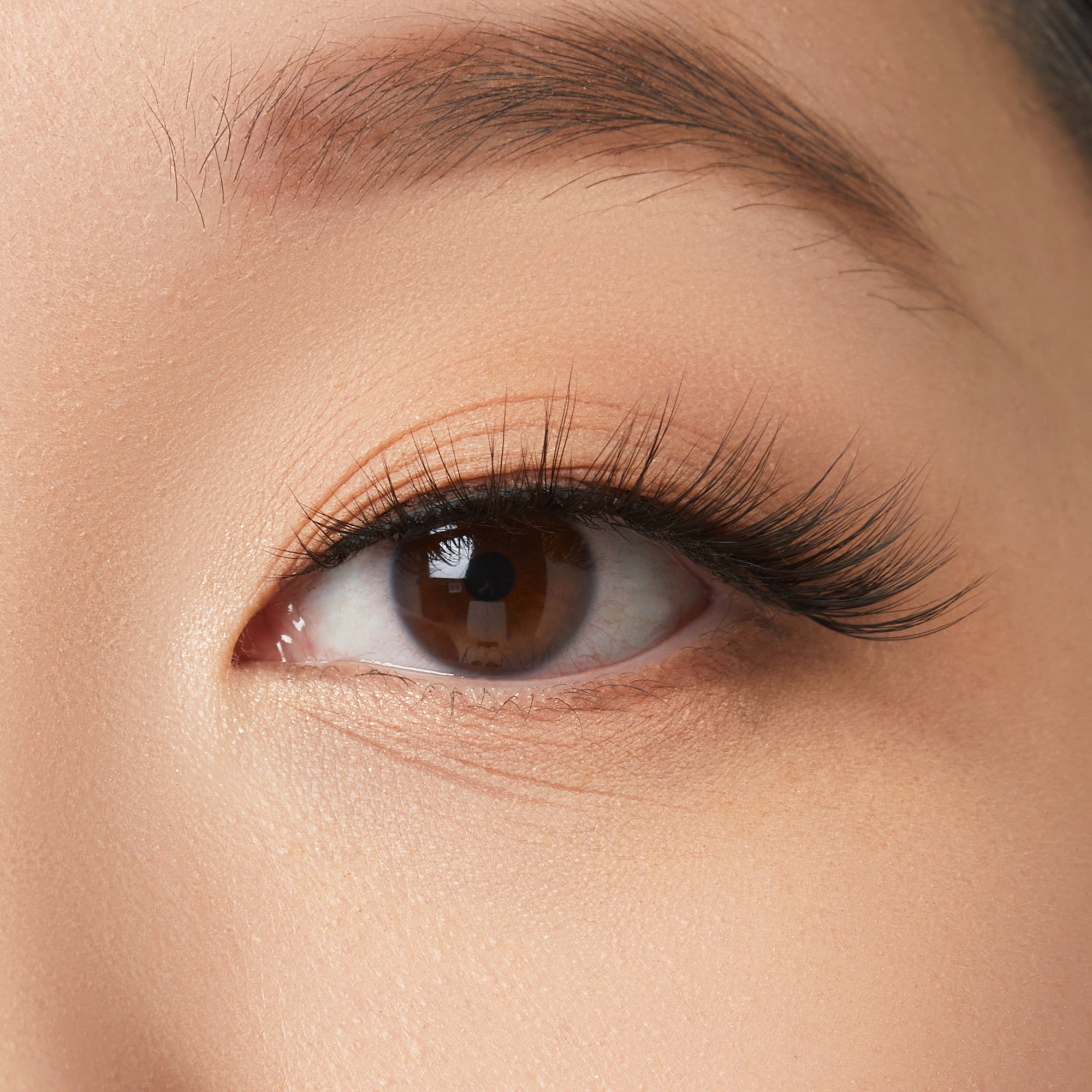 Close-up of an eye with brown iris, black eyeliner, and volumized false lashes.