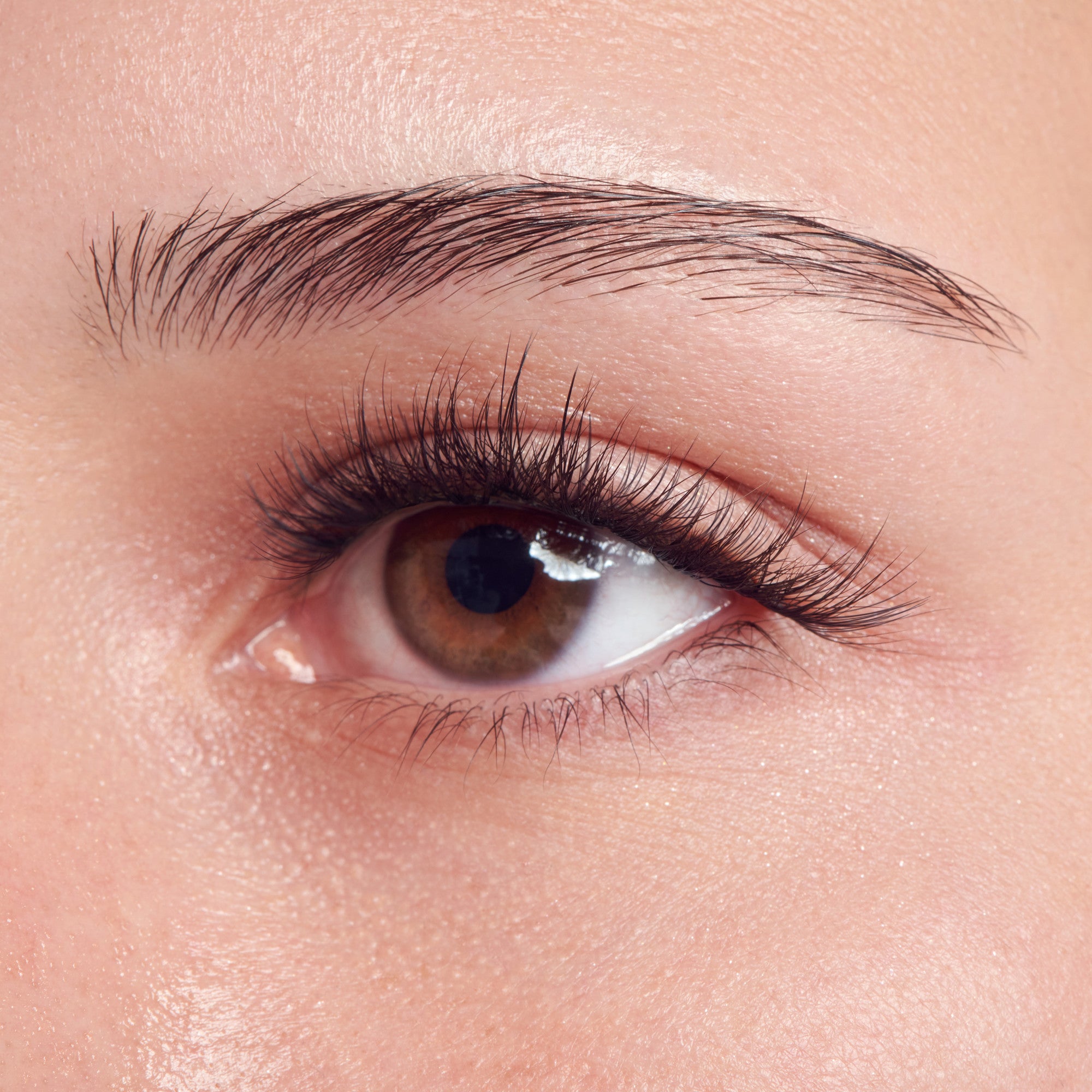 Close-up of eye with brown iris, black eyeliner, and full black lashes on fair skin.