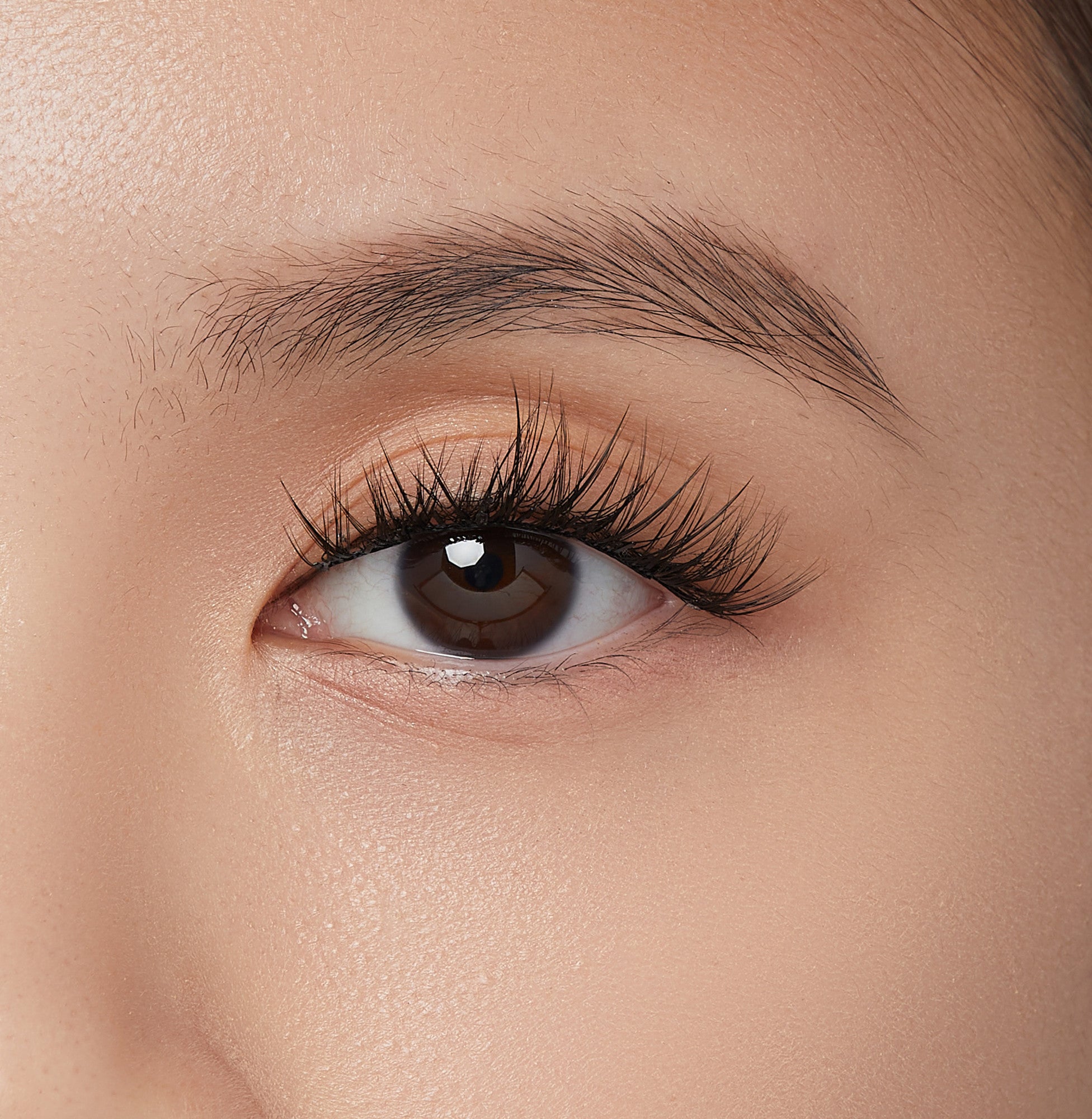 Close-up of a brown eye with long, voluminous black false eyelashes applied, showing natural skin texture and well-groomed eyebrow.